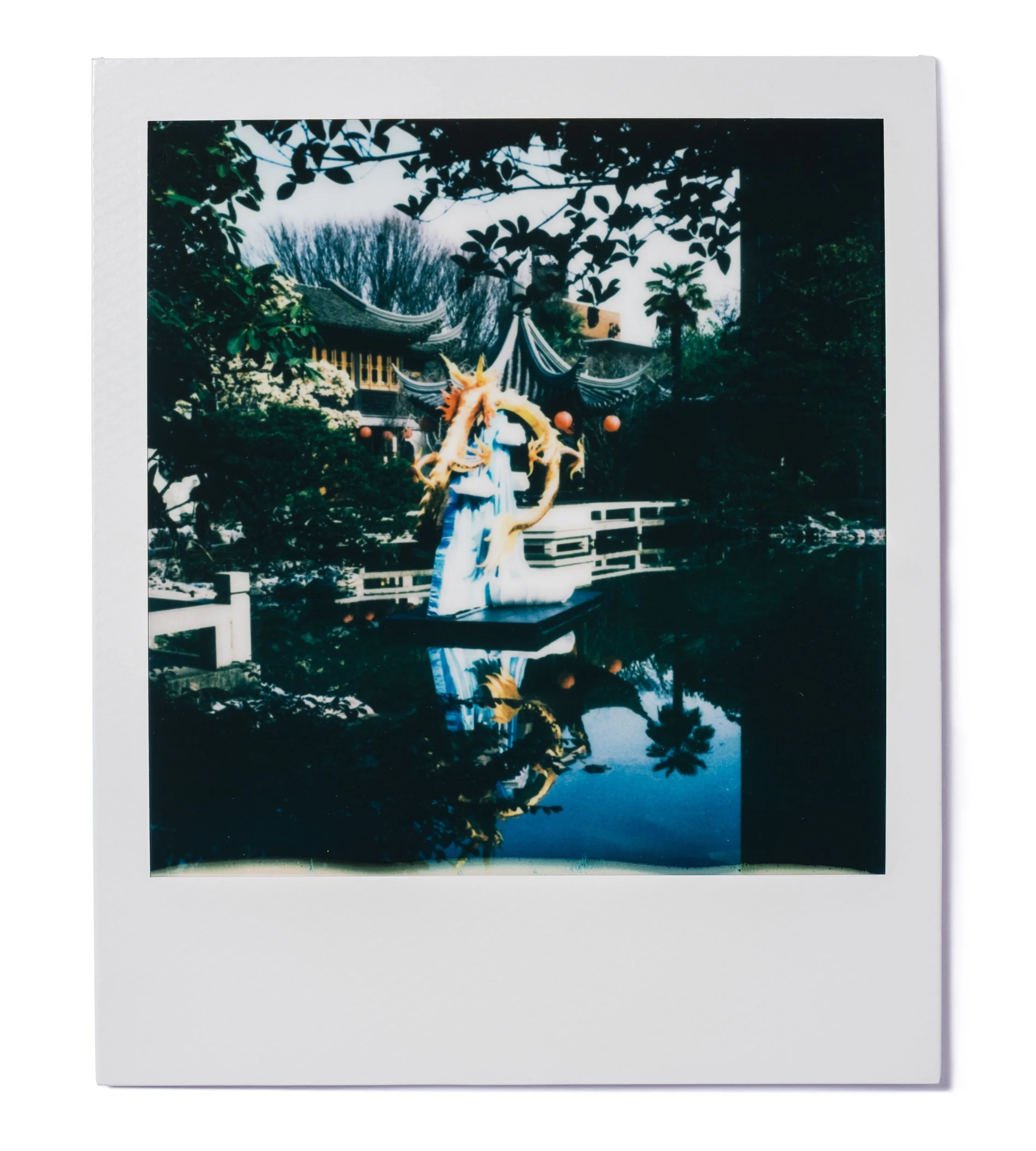 20260227-Polaroids-DSCF0170-Edit.jpg