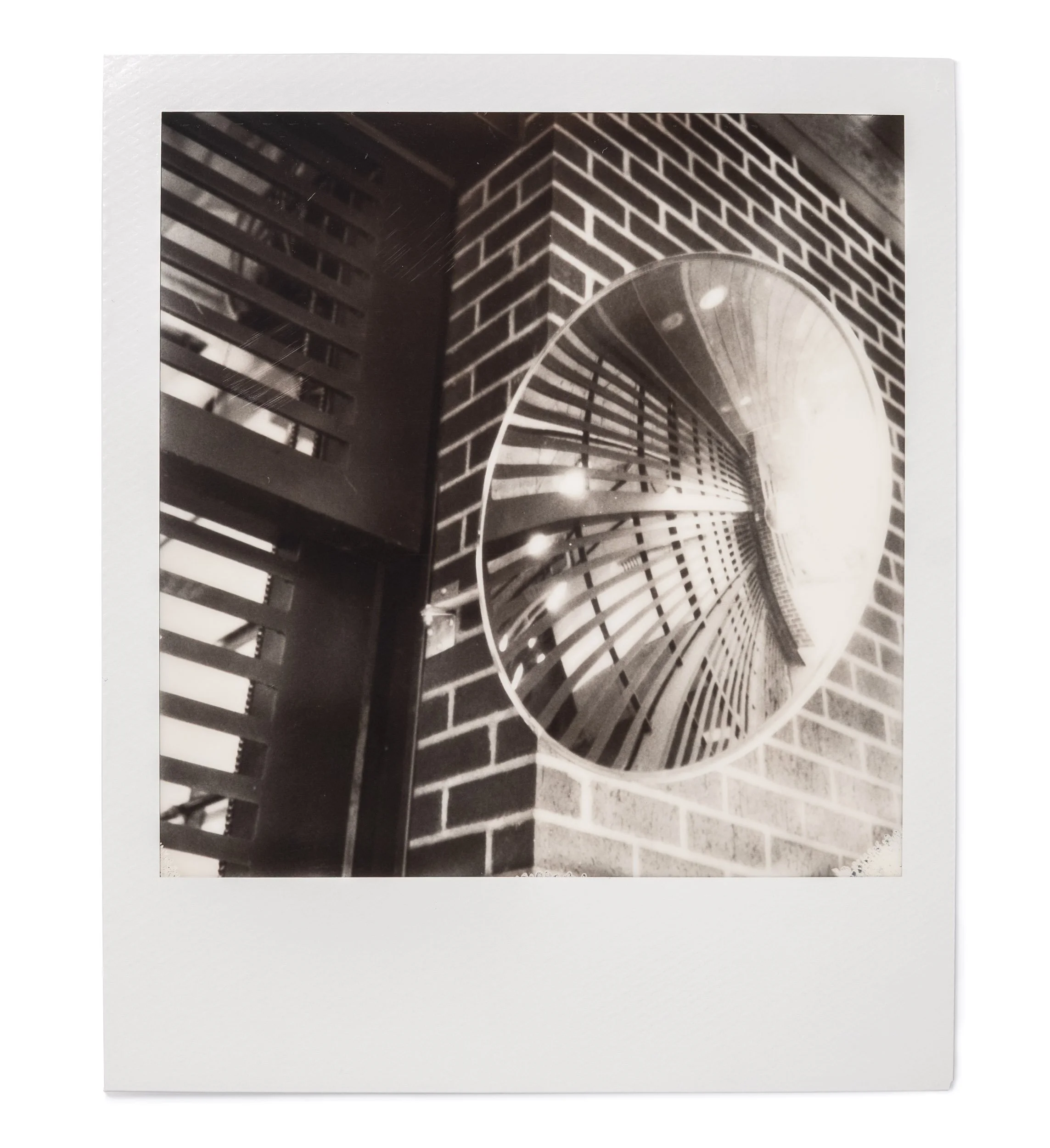 20260327-Polaroids-DSCF0768-Edit.jpg