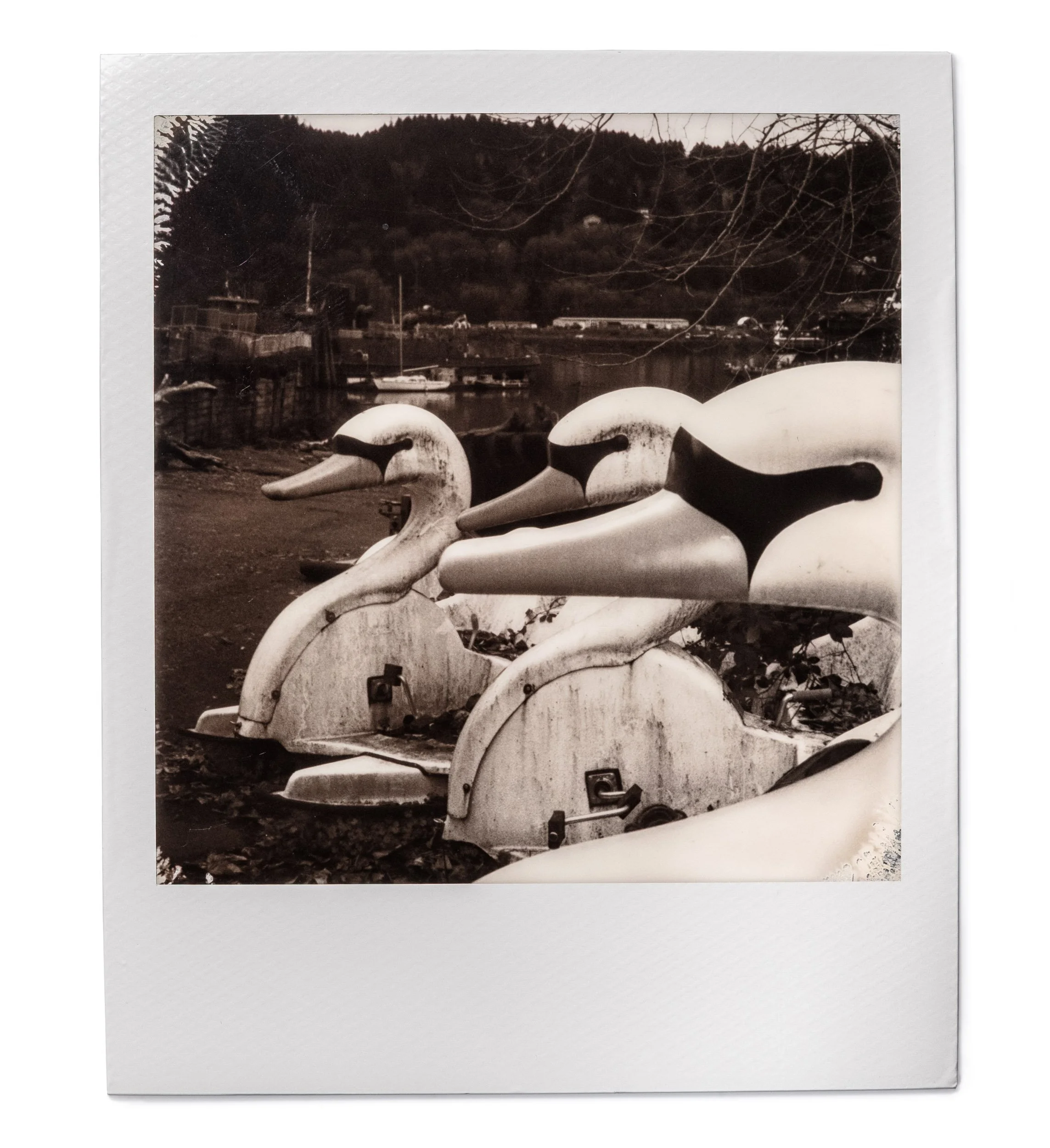 20260327-Polaroids-DSCF0751-Edit.jpg