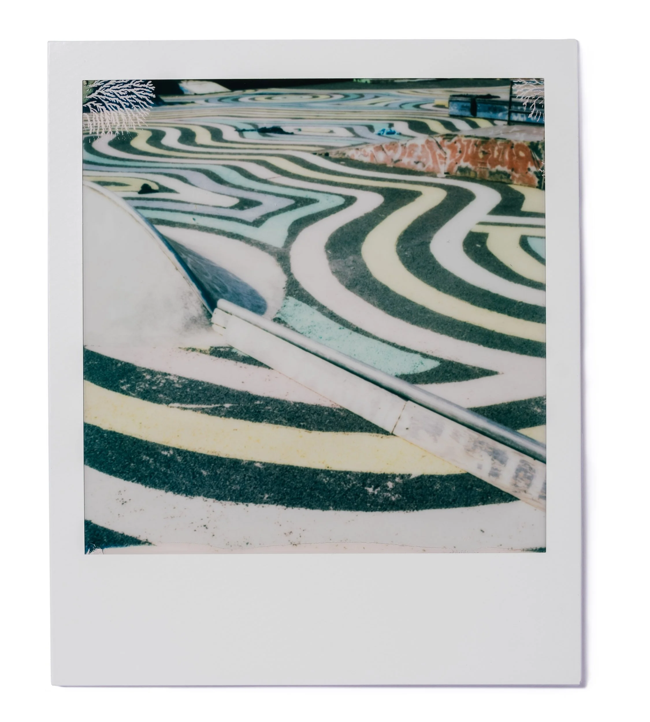 20260227-Polaroids-DSCF0168-Edit.jpg