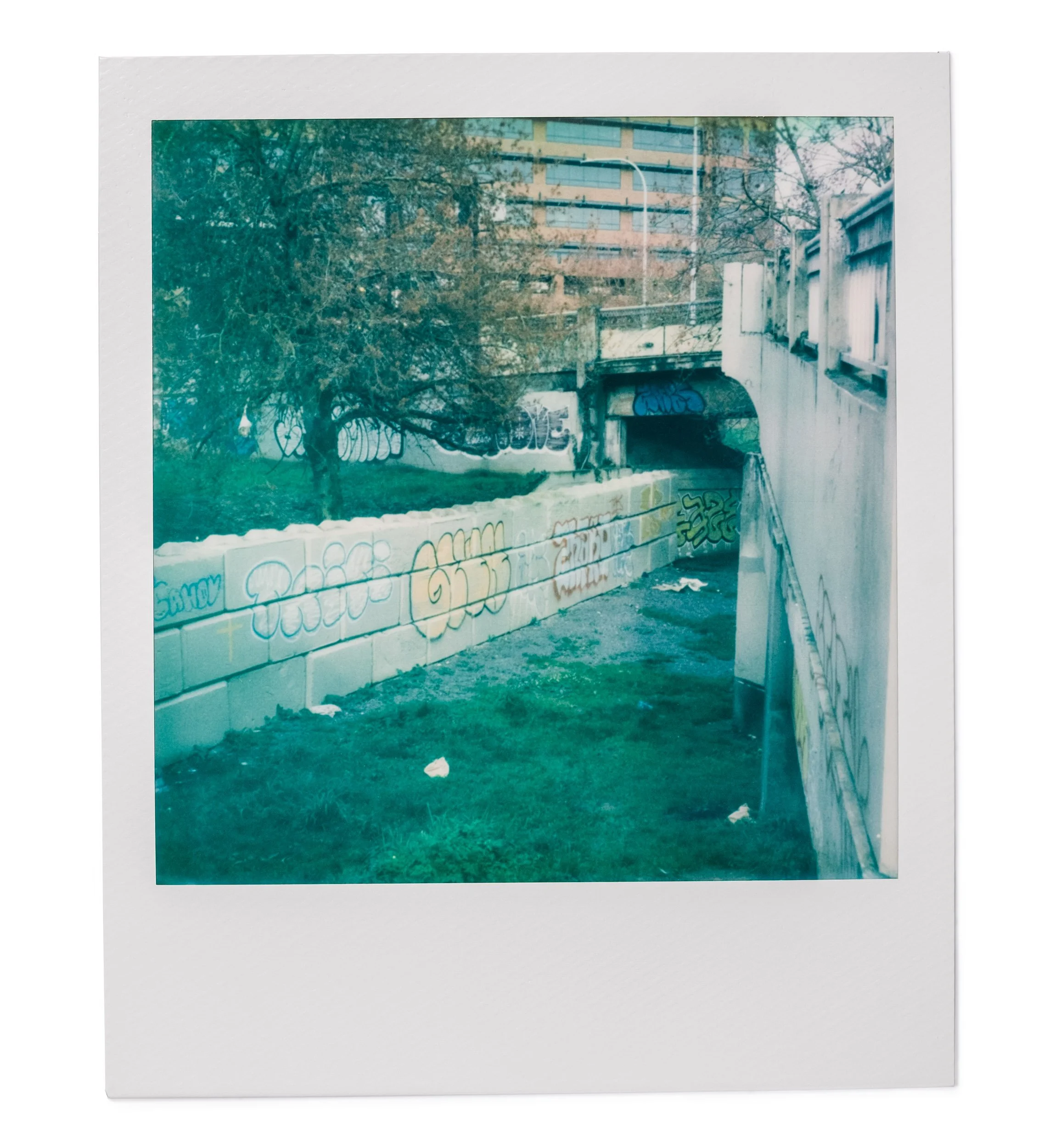 20260327-Polaroids-DSCF0771-Edit.jpg