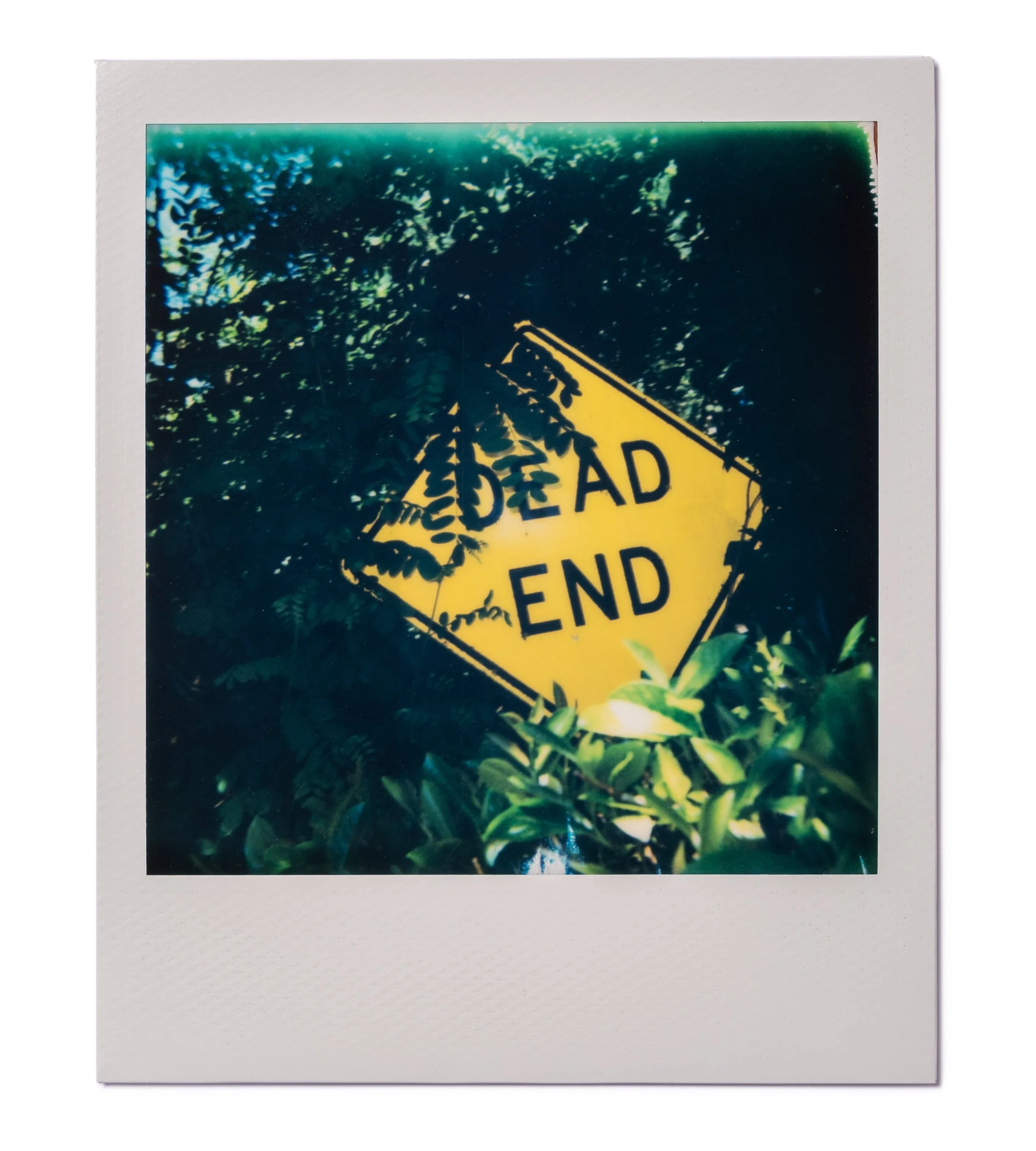 20260220-Polaroids-DSCF0104-Edit.jpg