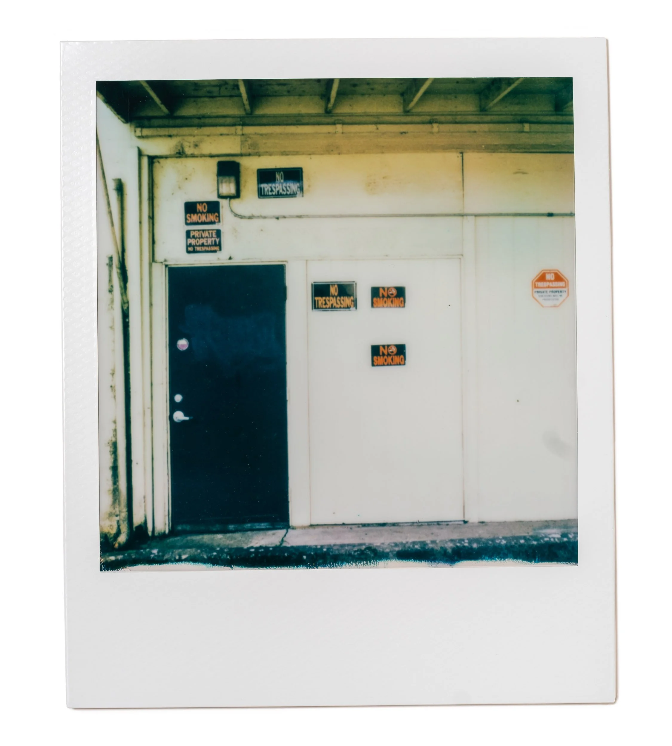 20260224-Polaroids-DSCF0125-Edit.jpg