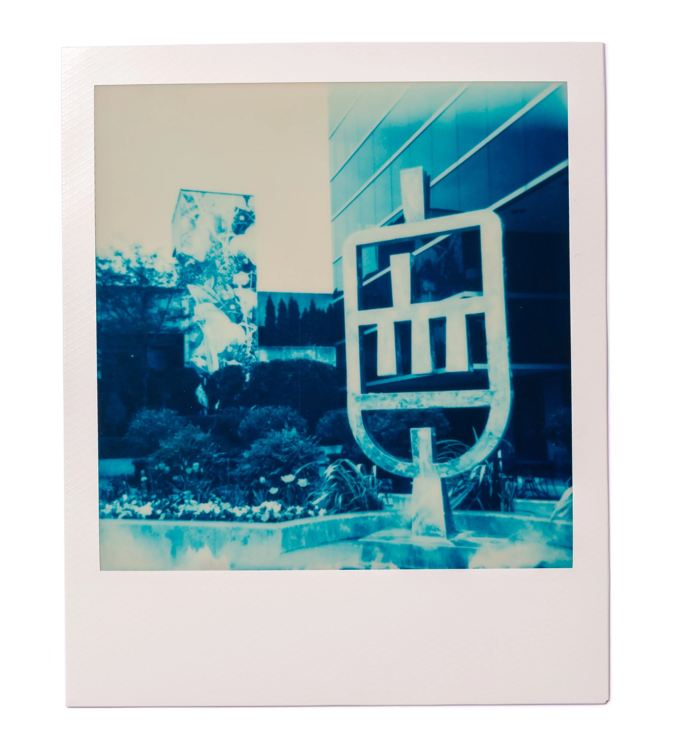 20260220-Polaroids-DSCF0101-Edit.jpg
