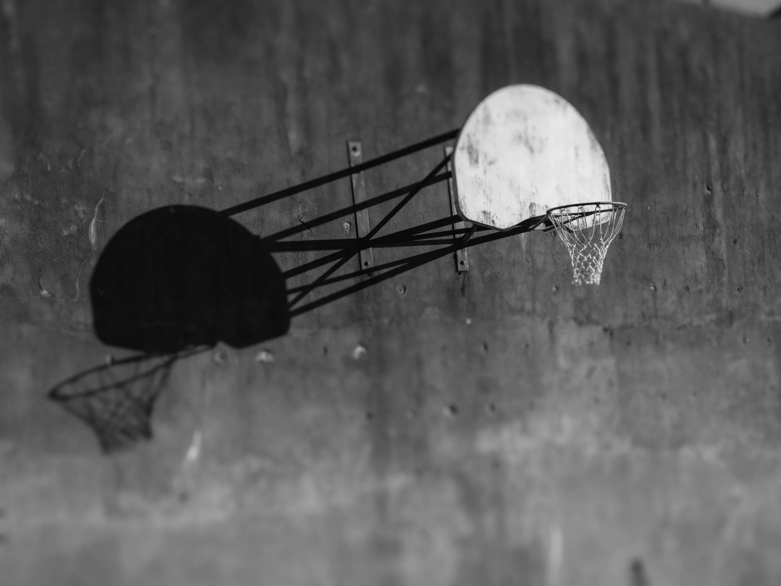 Suspension 
Portland, Oregon, USA. 2025
