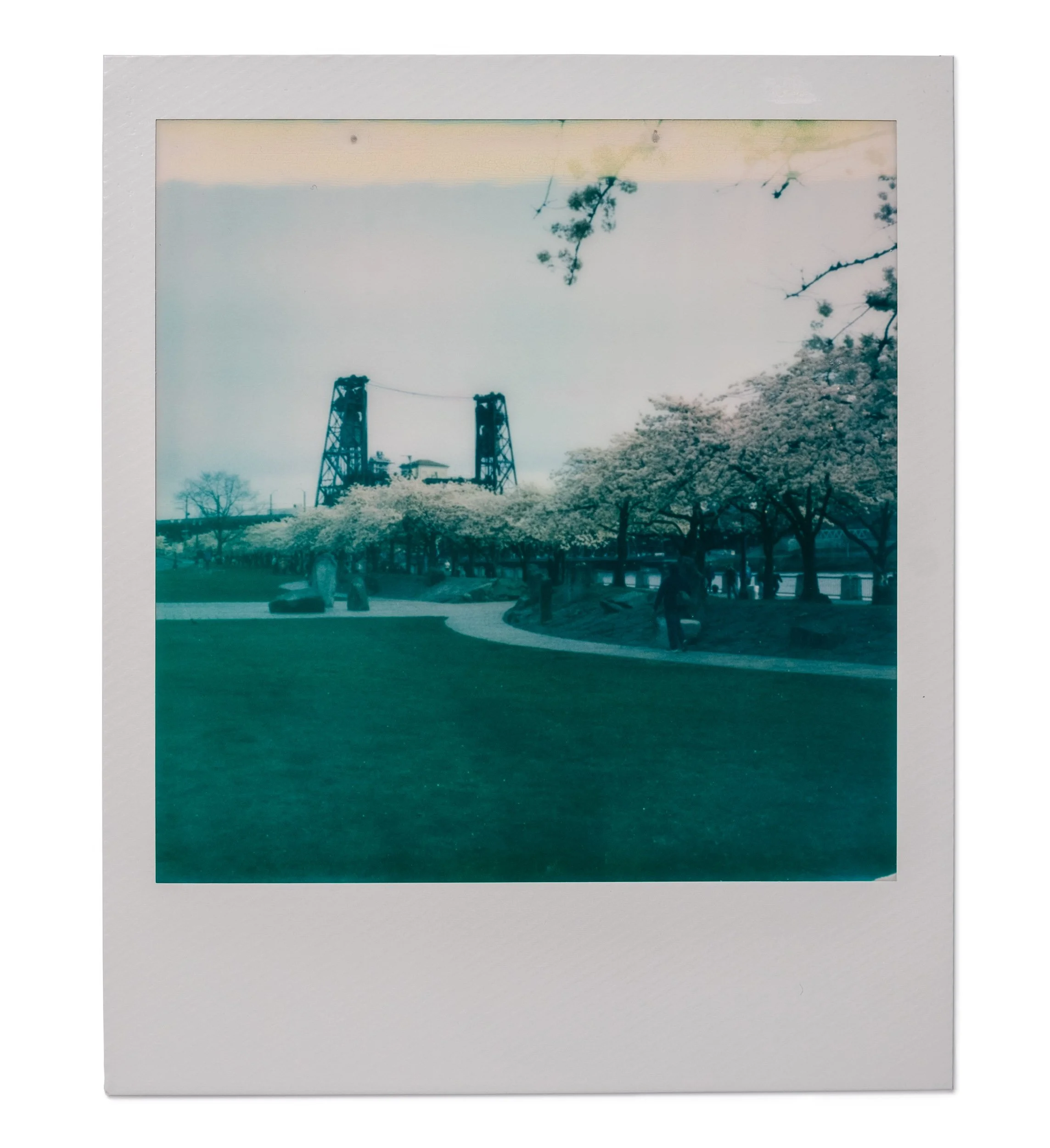 20260327-Polaroids-DSCF0775-Edit.jpg
