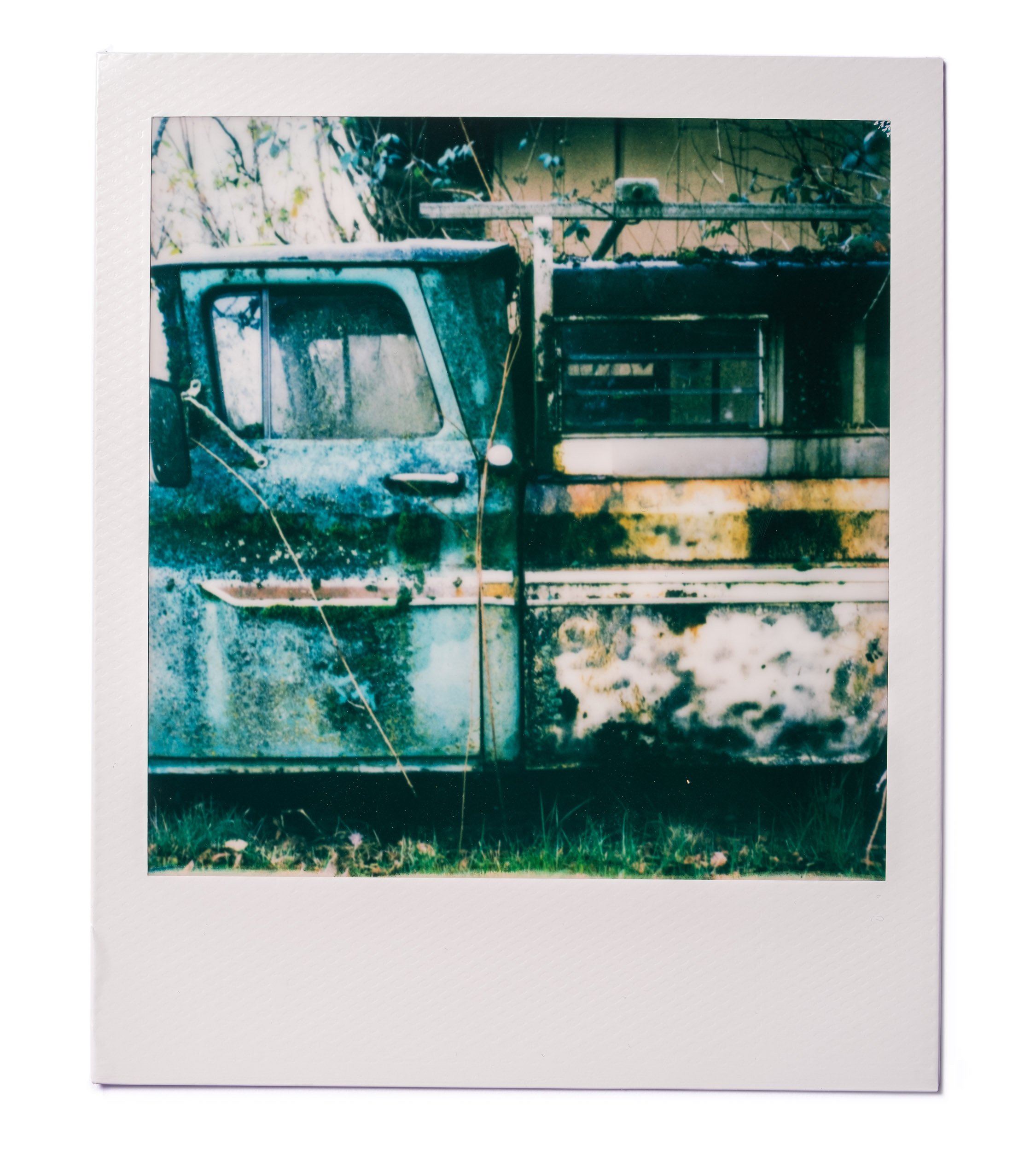 20260220-Polaroids-DSCF0093-Edit.jpg