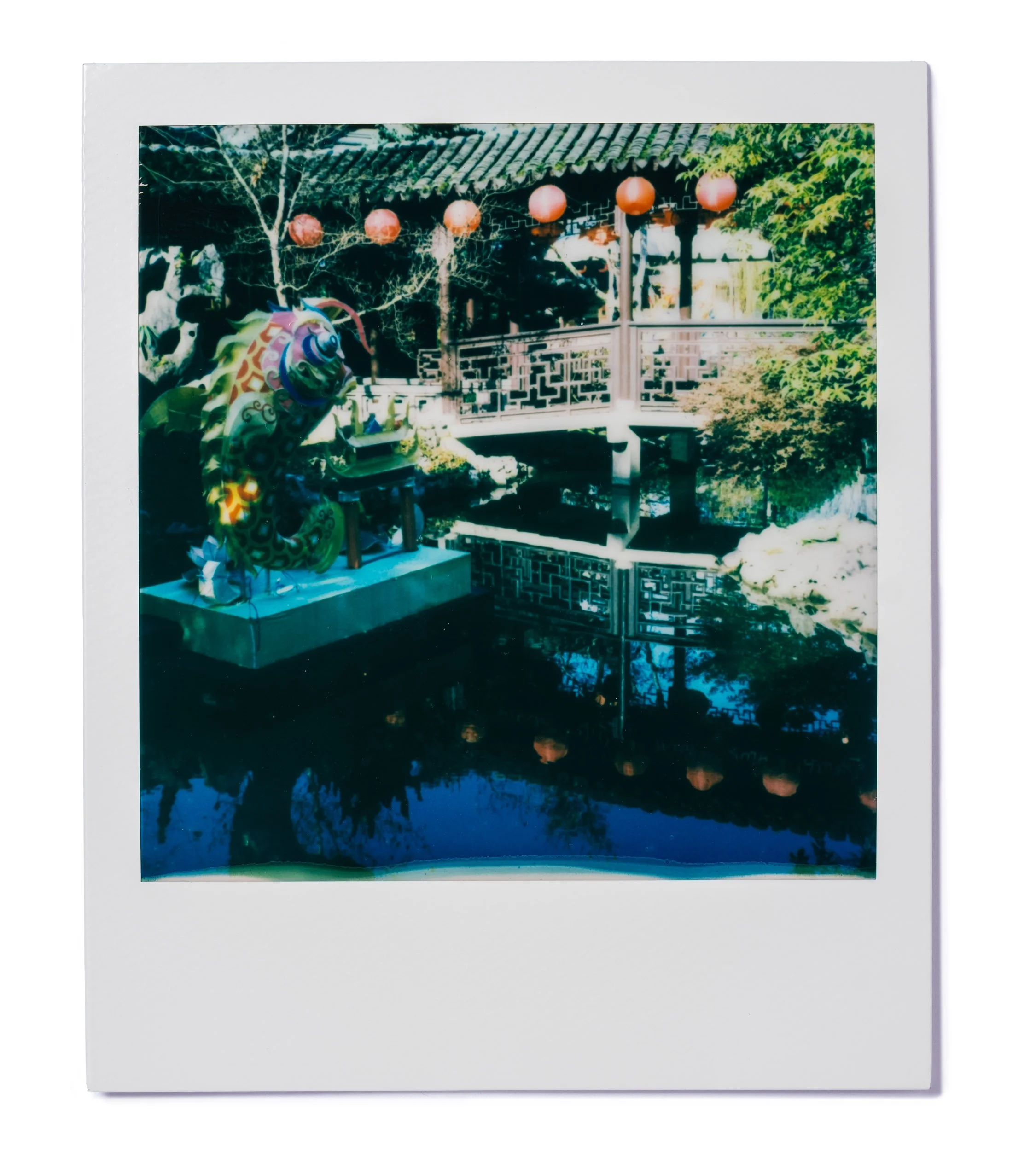 20260227-Polaroids-DSCF0167-Edit.jpg