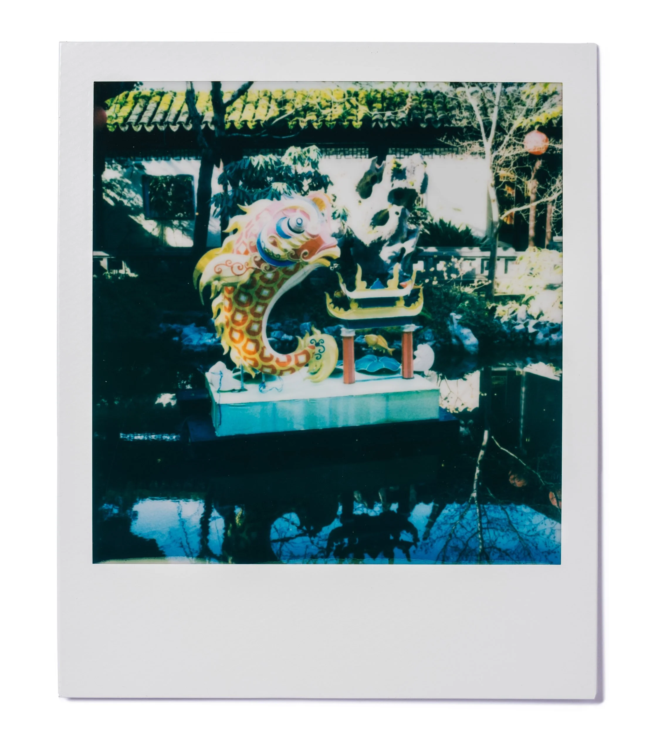 20260227-Polaroids-DSCF0169-Edit.jpg