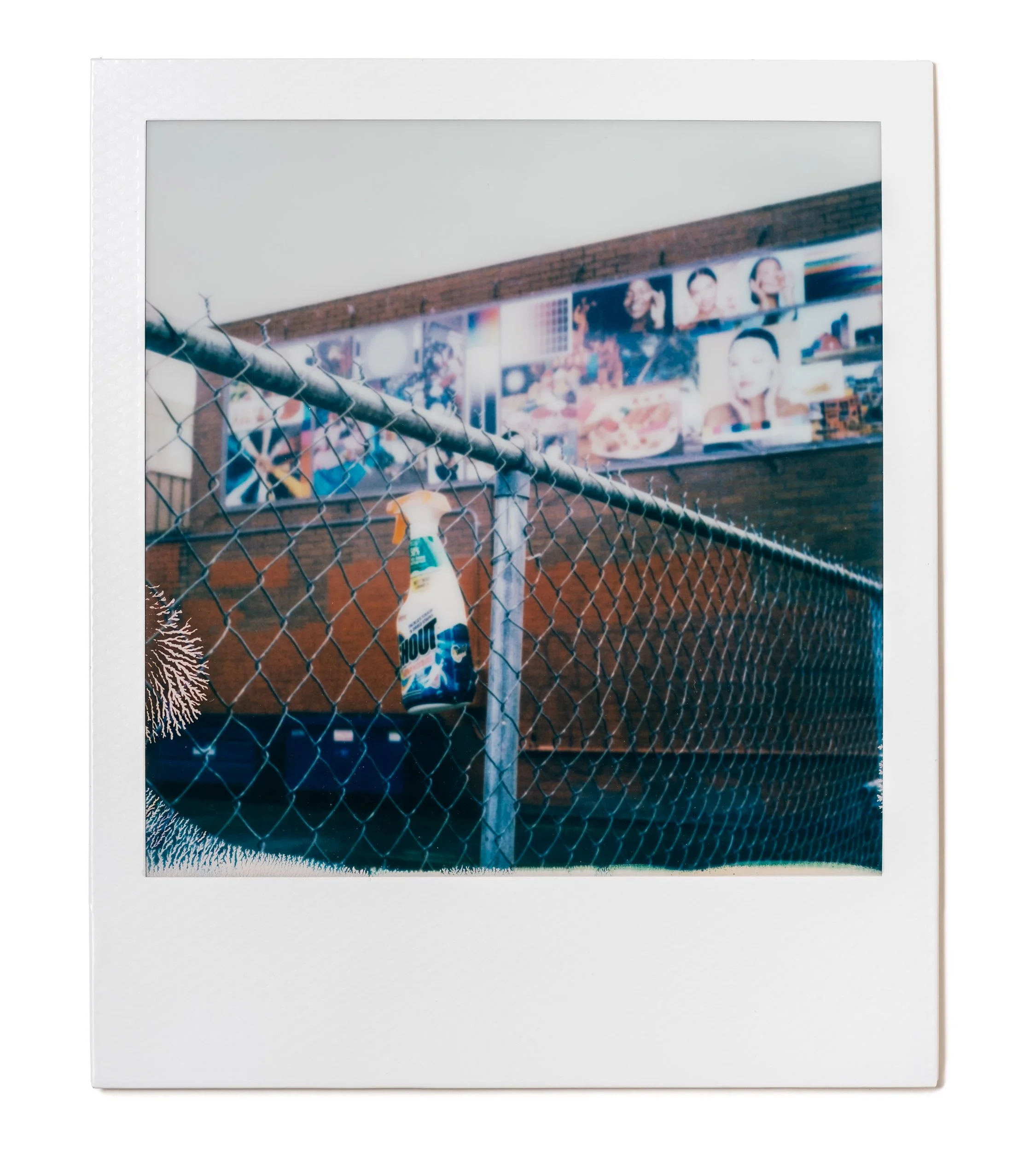 20260224-Polaroids-DSCF0129-Edit.jpg
