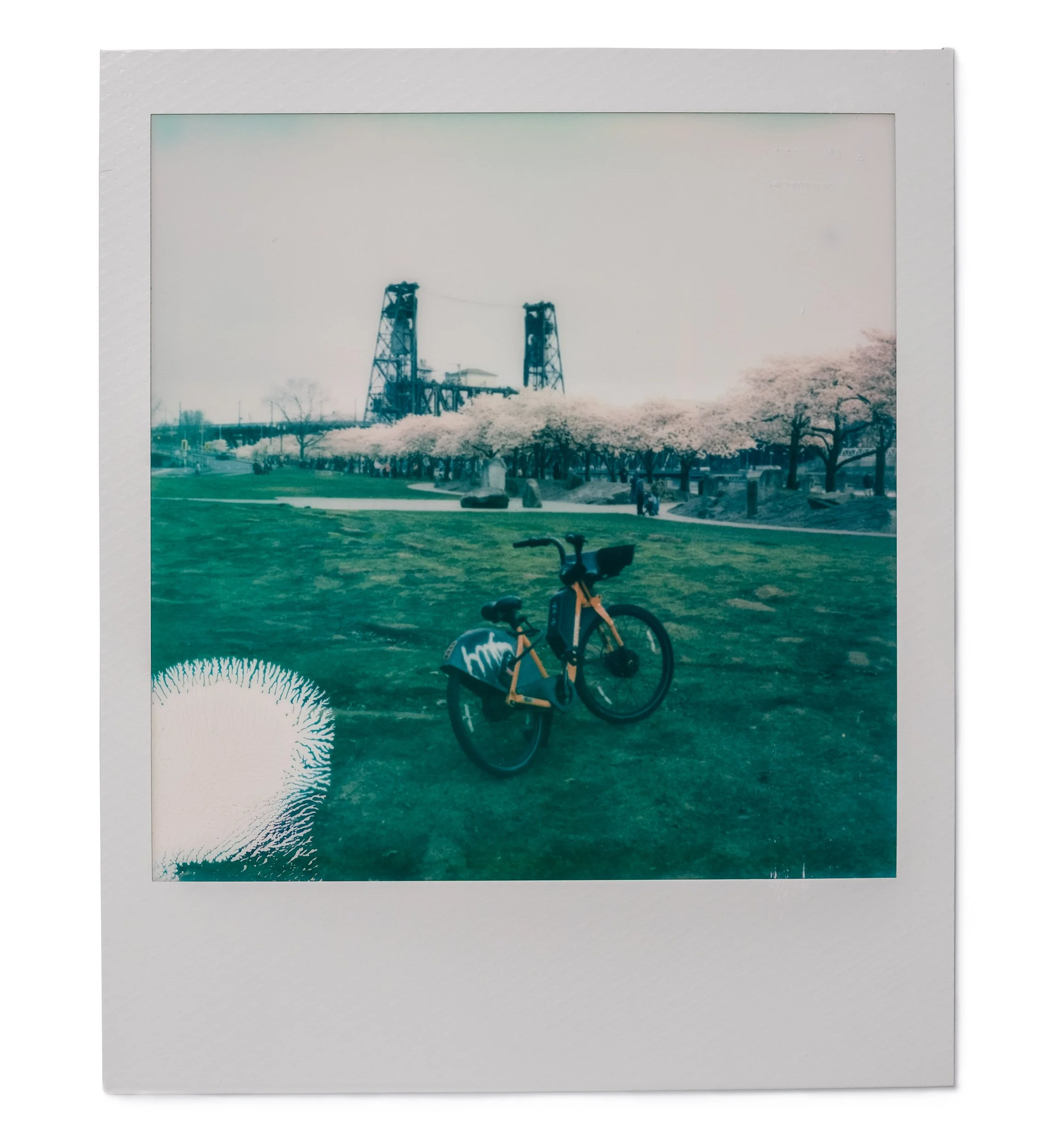 20260327-Polaroids-DSCF0772-Edit.jpg