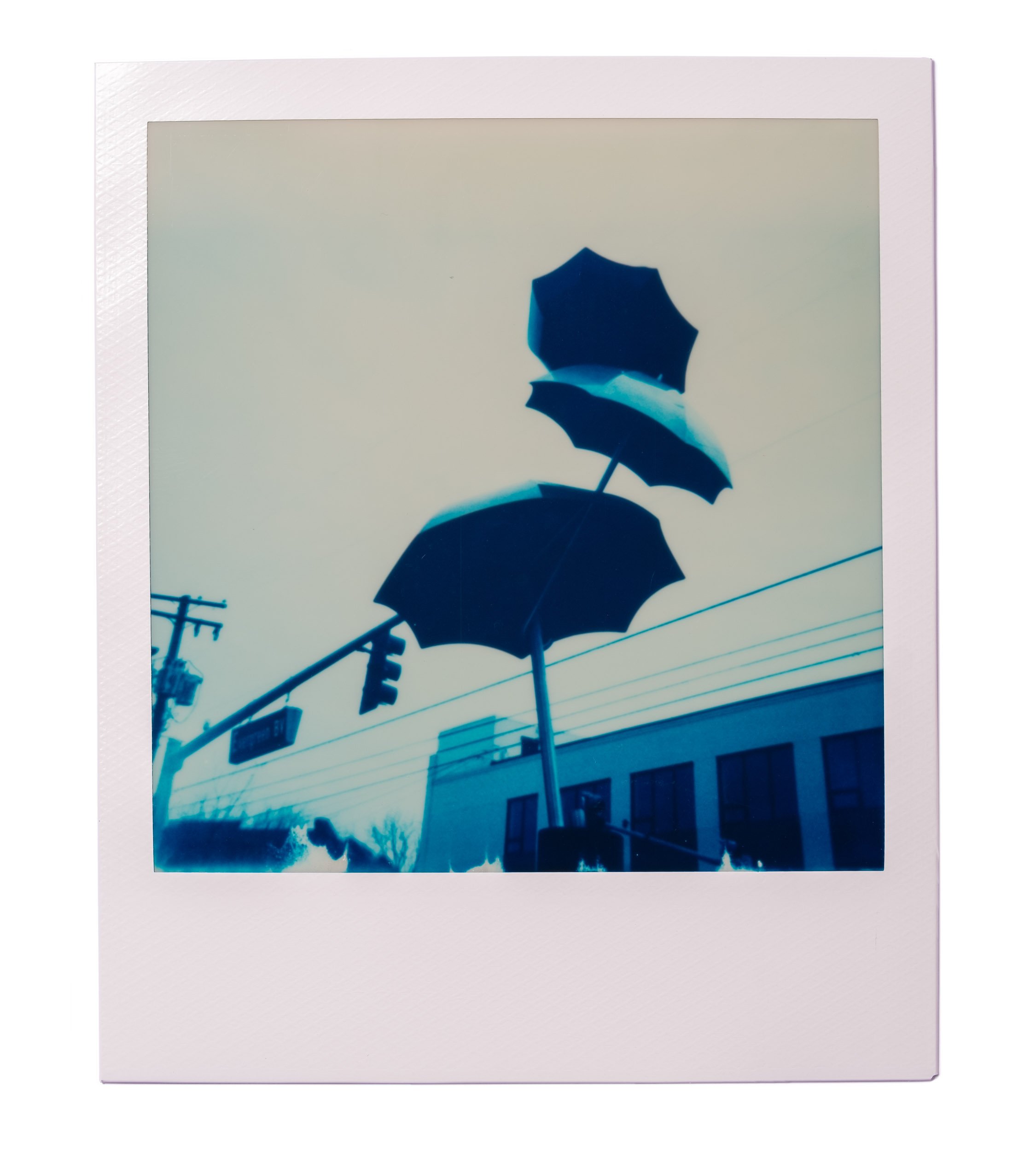 20260220-Polaroids-DSCF0099-Edit.jpg