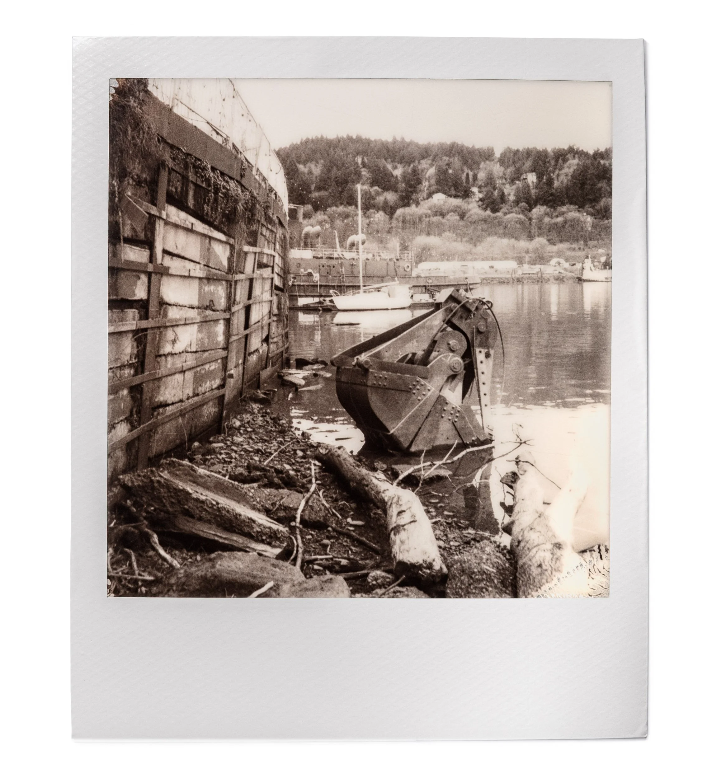 20260327-Polaroids-DSCF0750-Edit.jpg