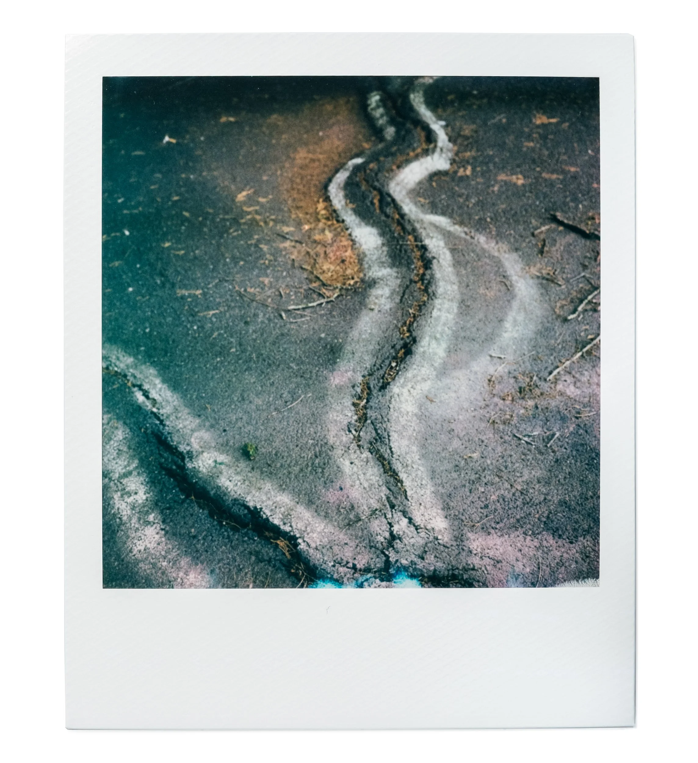 20260327-Polaroids-DSCF0746-Edit.jpg