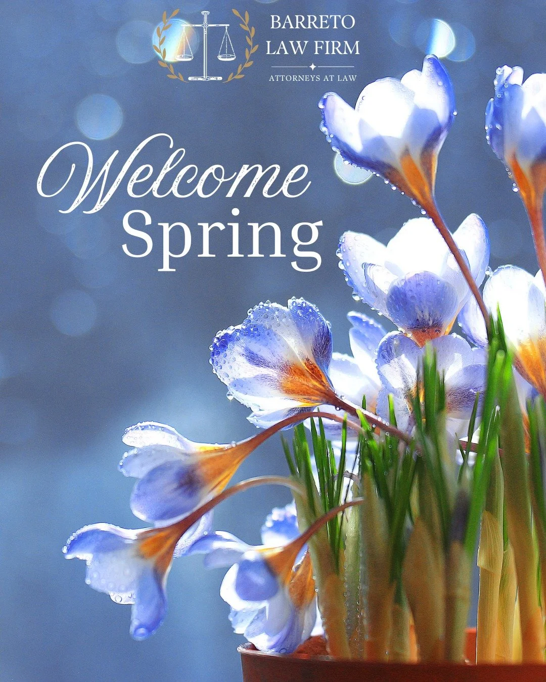 Ya ha llegado la primavera, y estamos muy agradecidos de poder servir a nuestra comunidad en todas las estaciones 🌷 Mientras disfrutas de un nuevo comienzo esta primavera, ten por seguro que el bufete Barreto Law Firm está aquí para protegerte a ti y a tu familia en cada paso del camino.

Te deseamos un comienzo seguro y feliz