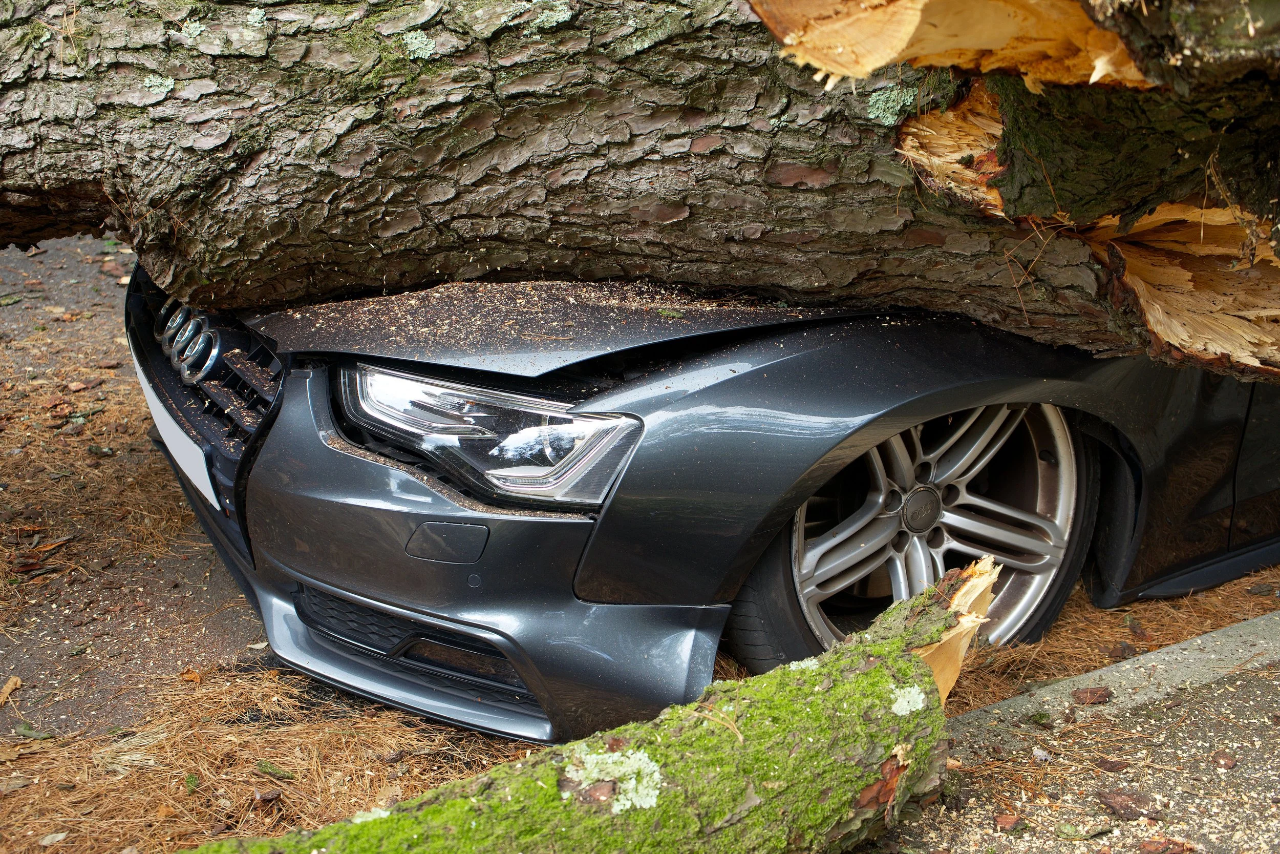 Car severely damaged by a fallen tree trunk in New Jersey - Barreto Law Firm motor vehicle accident attorney