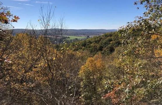Autumn hillside and valley view in New Jersey, where Barreto Law Firm helps clients with personal injury matters