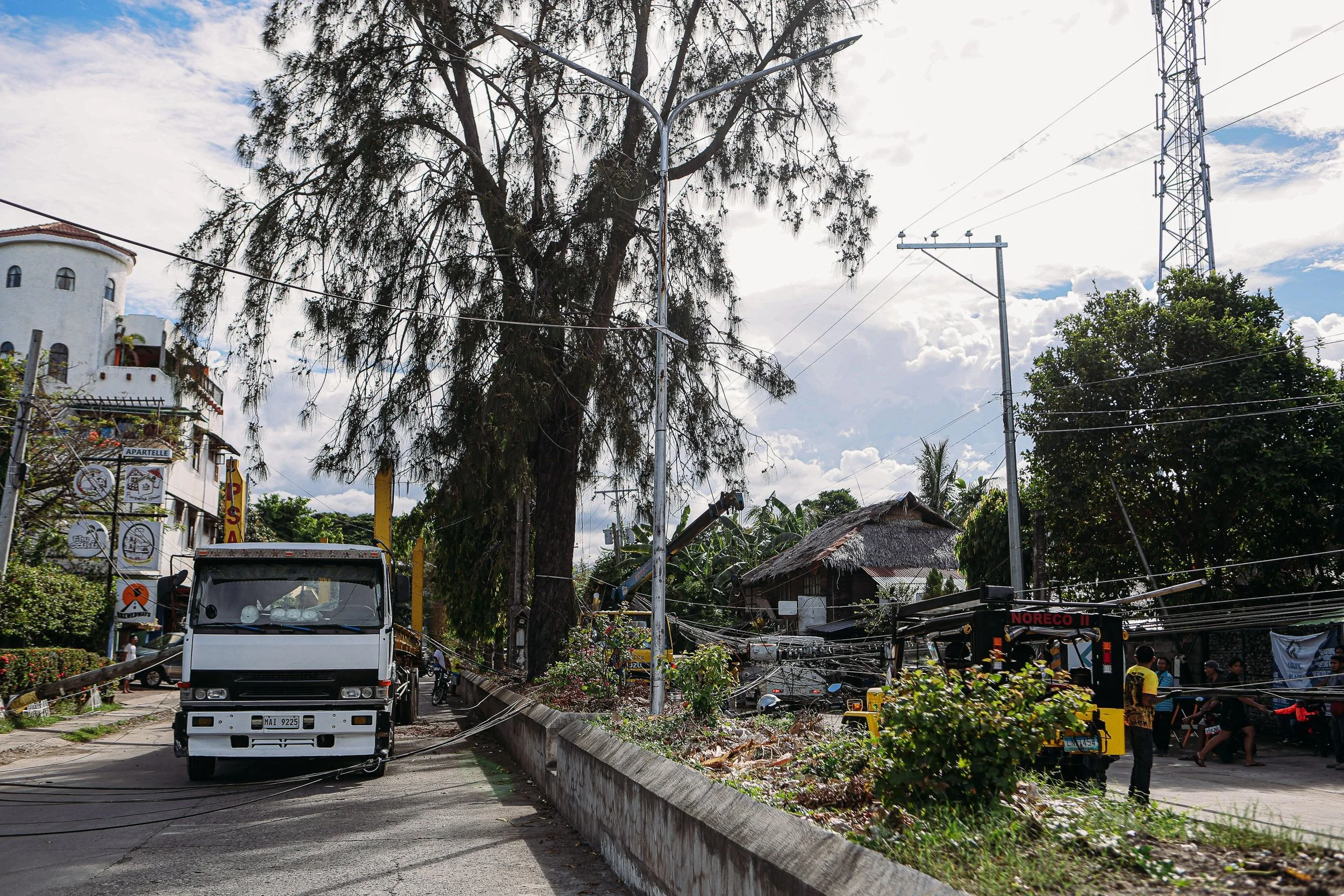 White commercial truck on a narrow road beside a large tree, where truck accidents and collisions can occur