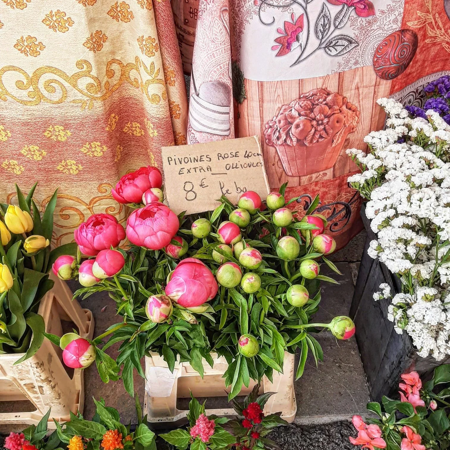 Flower Market_Provence