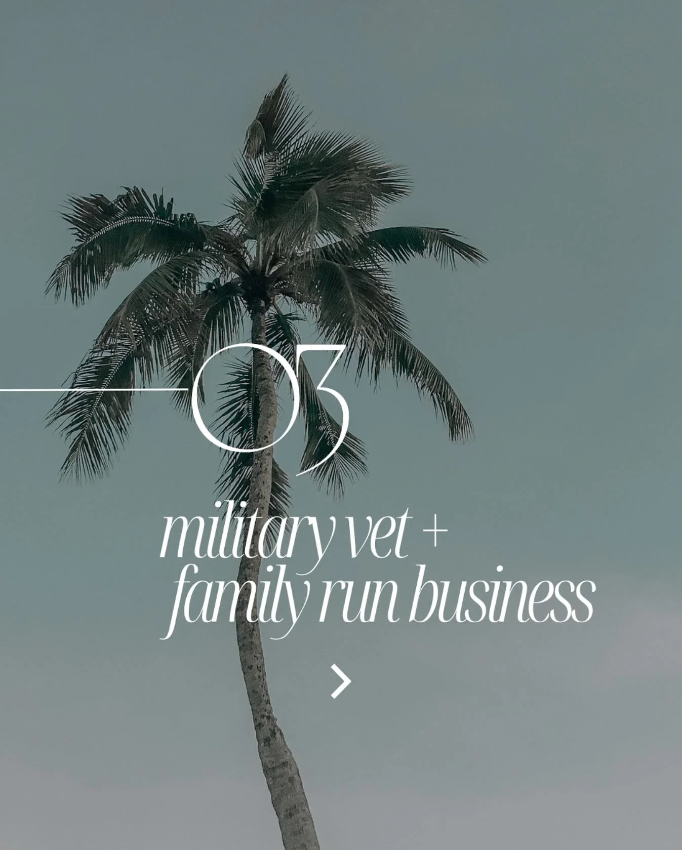 Veteran-owned, family-run, and proudly serving our beach town with top-quality custom painting &amp; handyman services! 🇺🇸🏝️ From fresh coats to final touches, we&rsquo;re here to make your home or business shine.

 #VeteranOwned #FamilyBusiness #