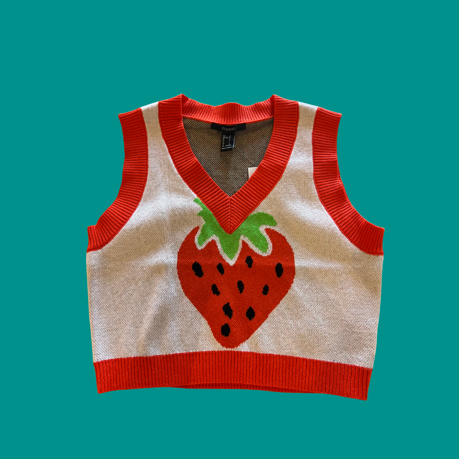 strawberry vest.png