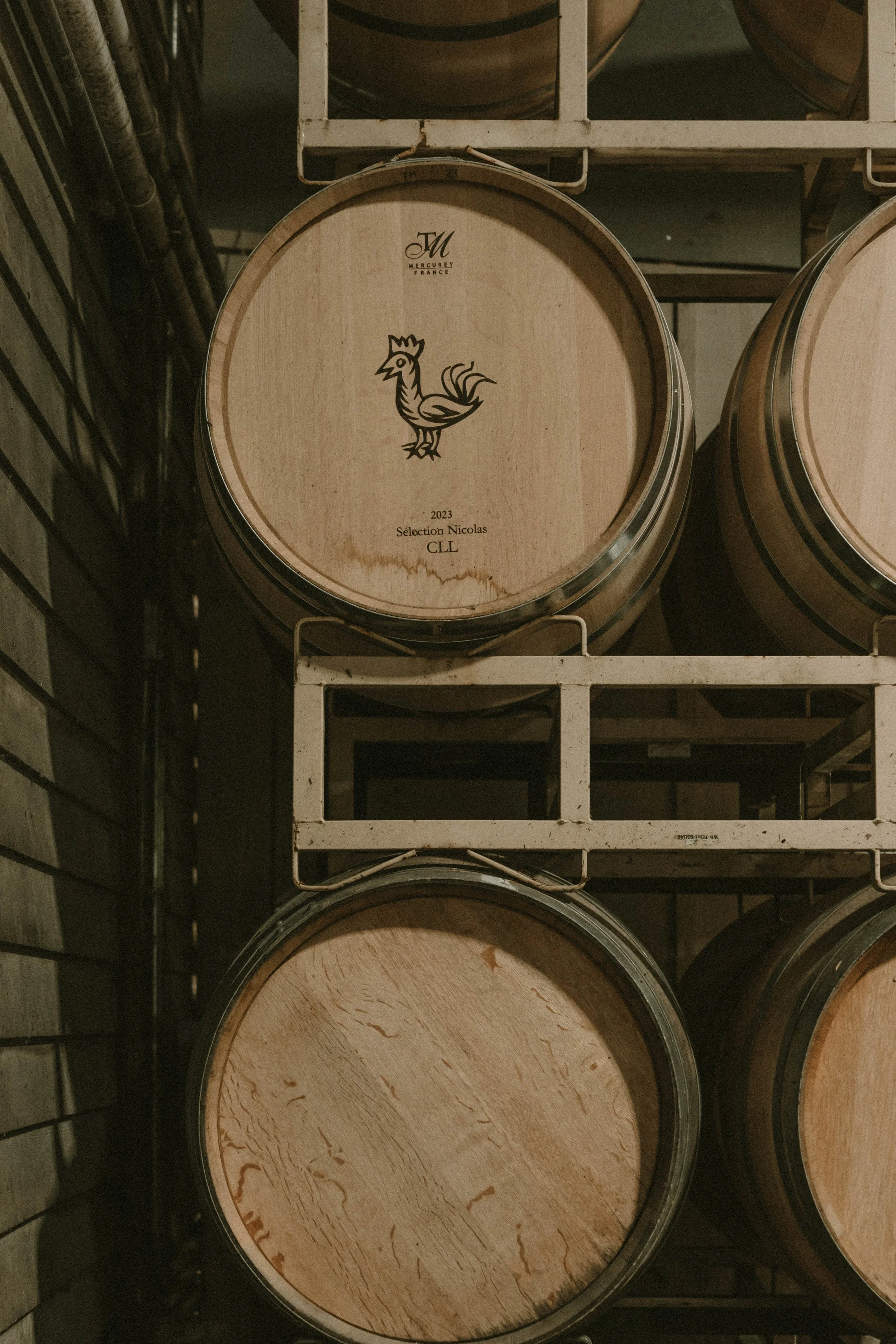 suzor-wines-harvest-oregon-26.jpg