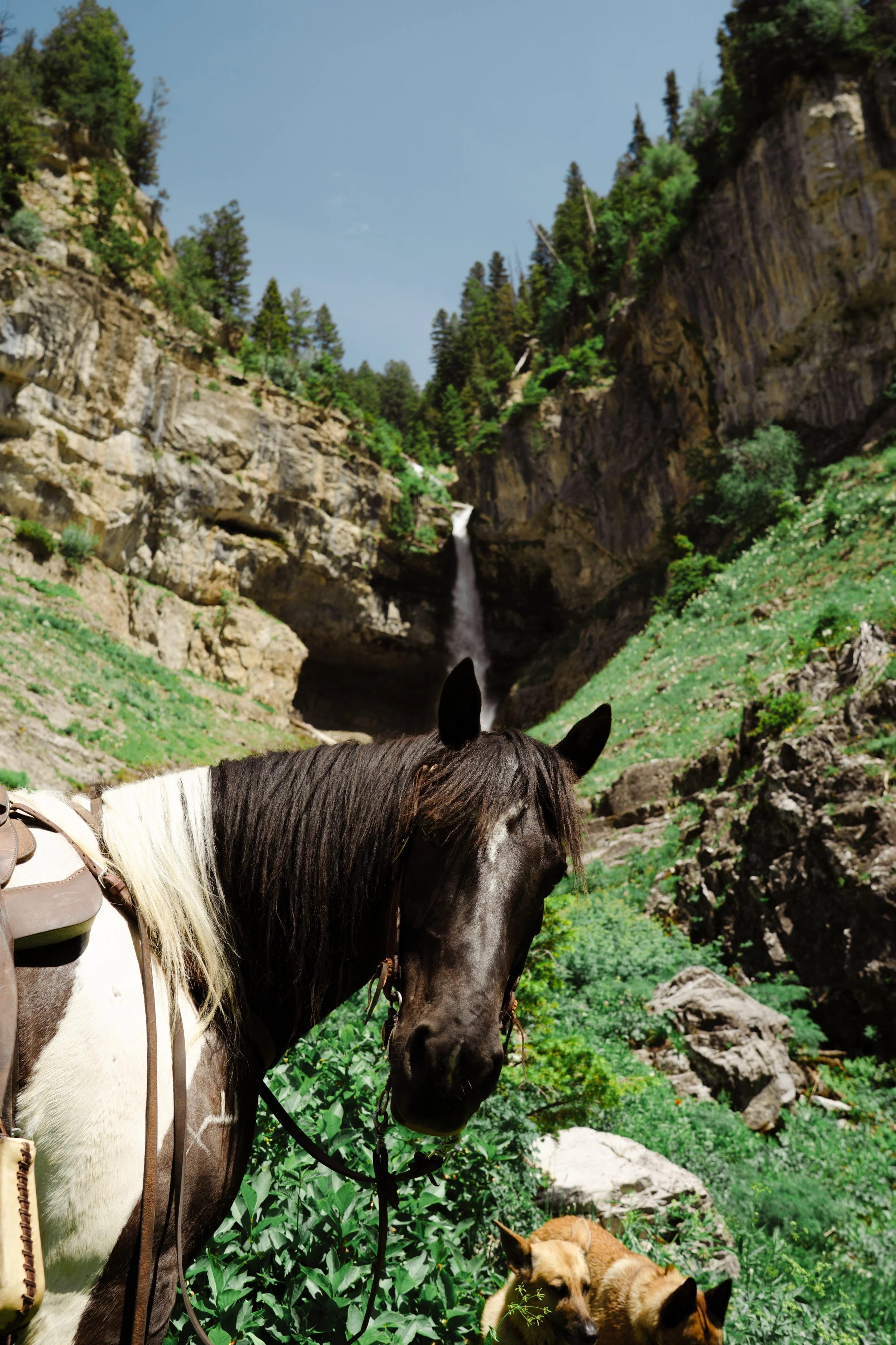 IDAHO_PACK_TRIP(EDIT)-155.jpg