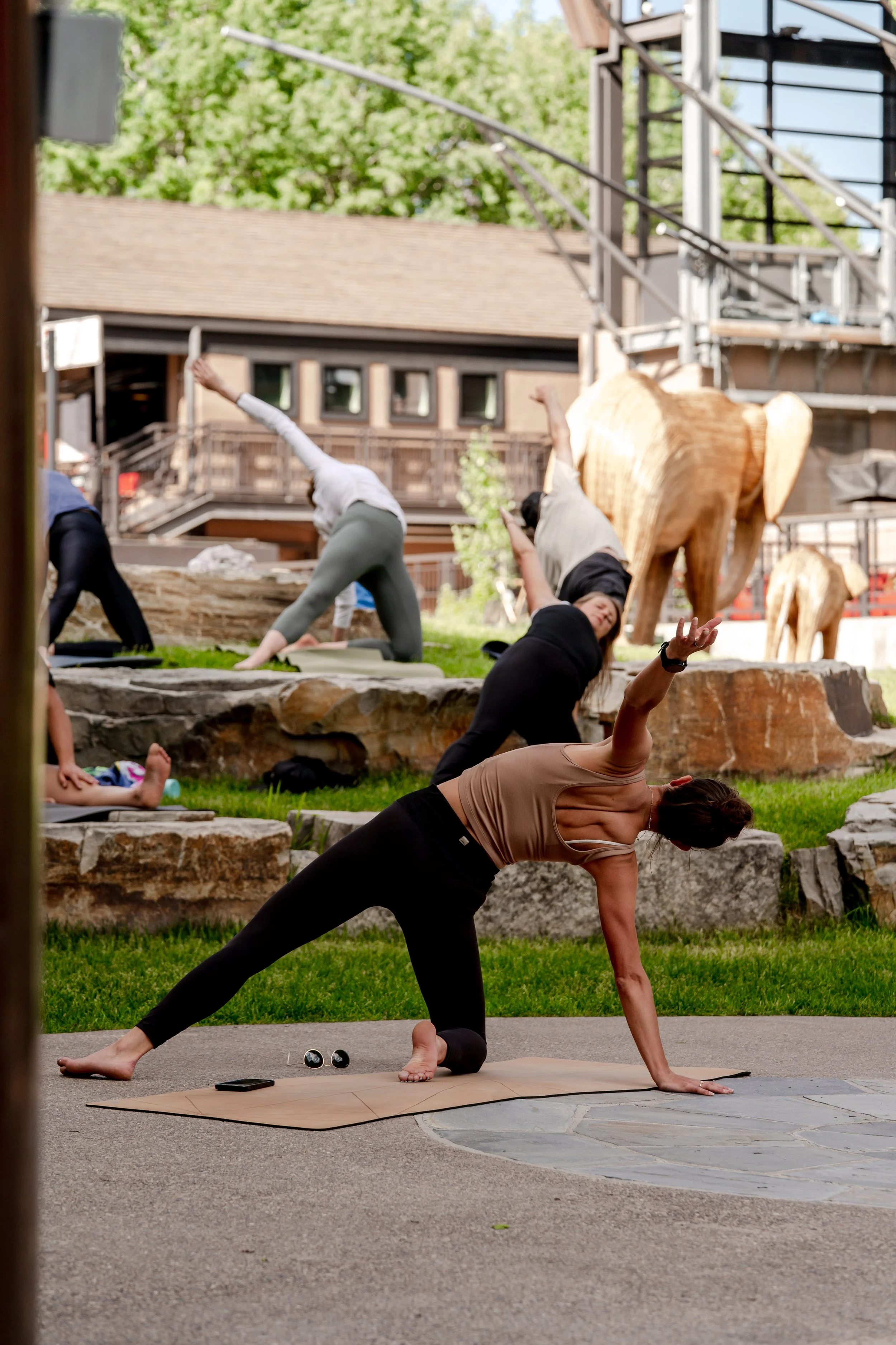 DH 6_12 - YOGA-01.jpg