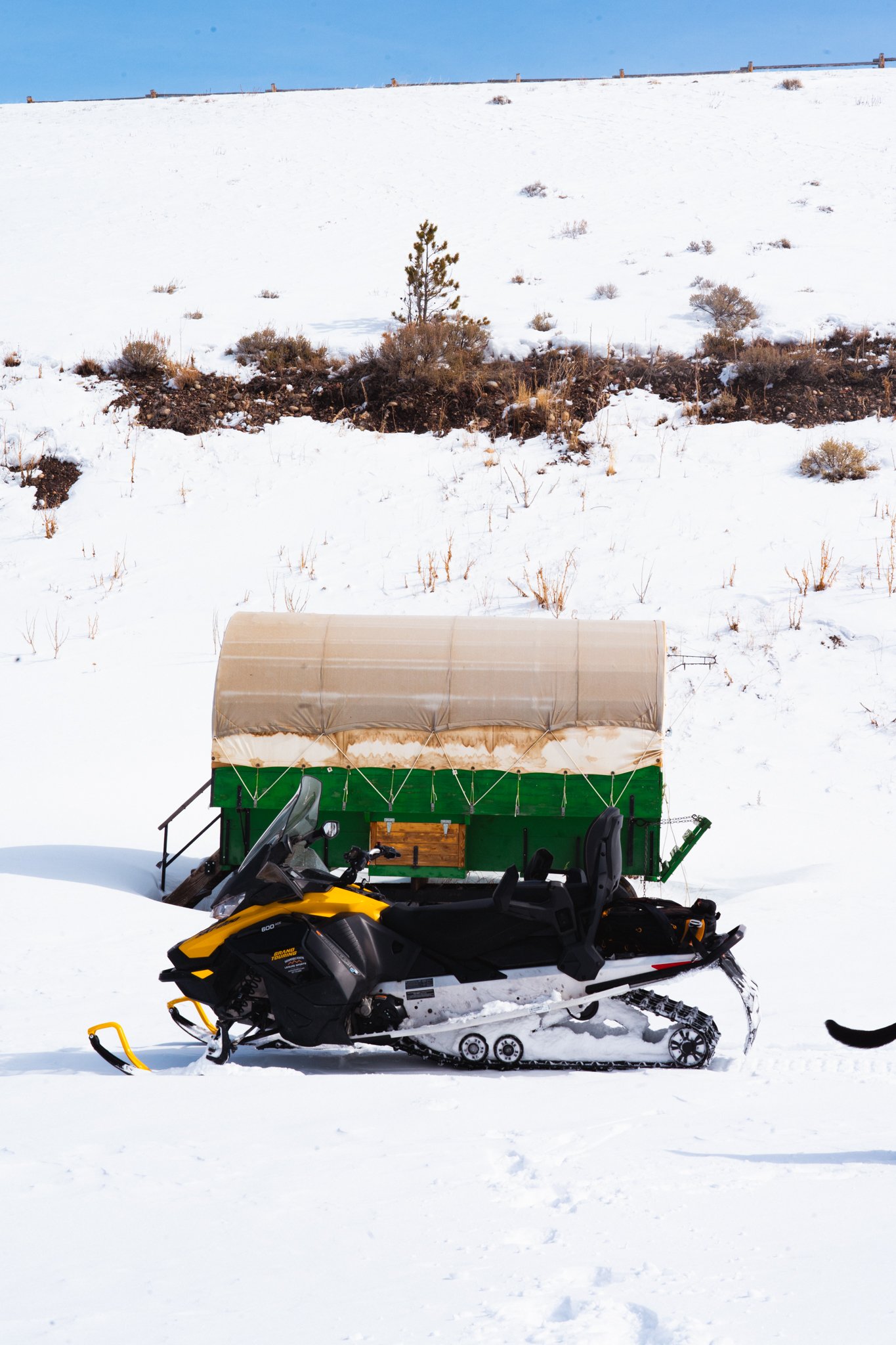 GV Sled Day 24-58.JPG