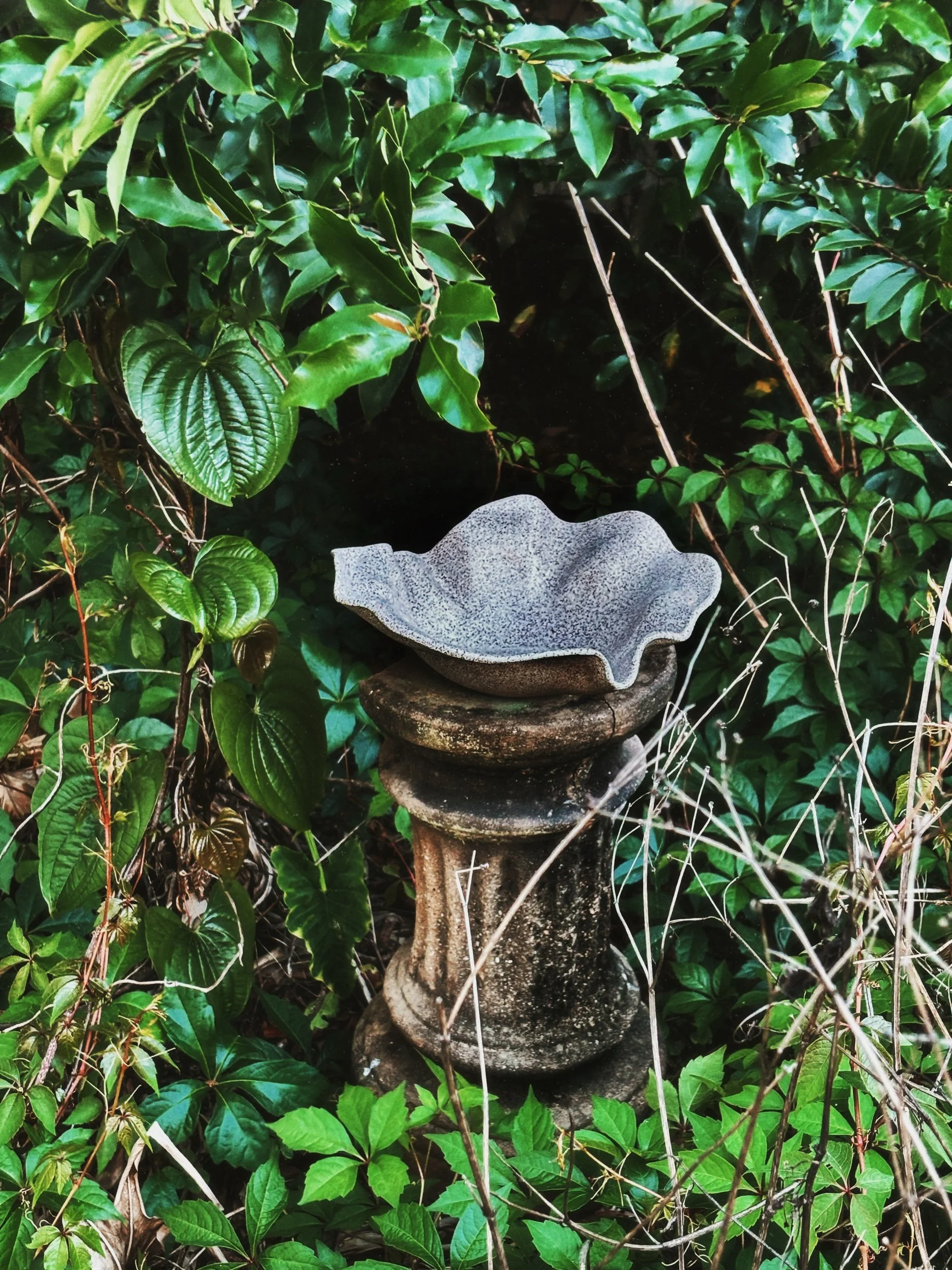 Soft Curve Vessel