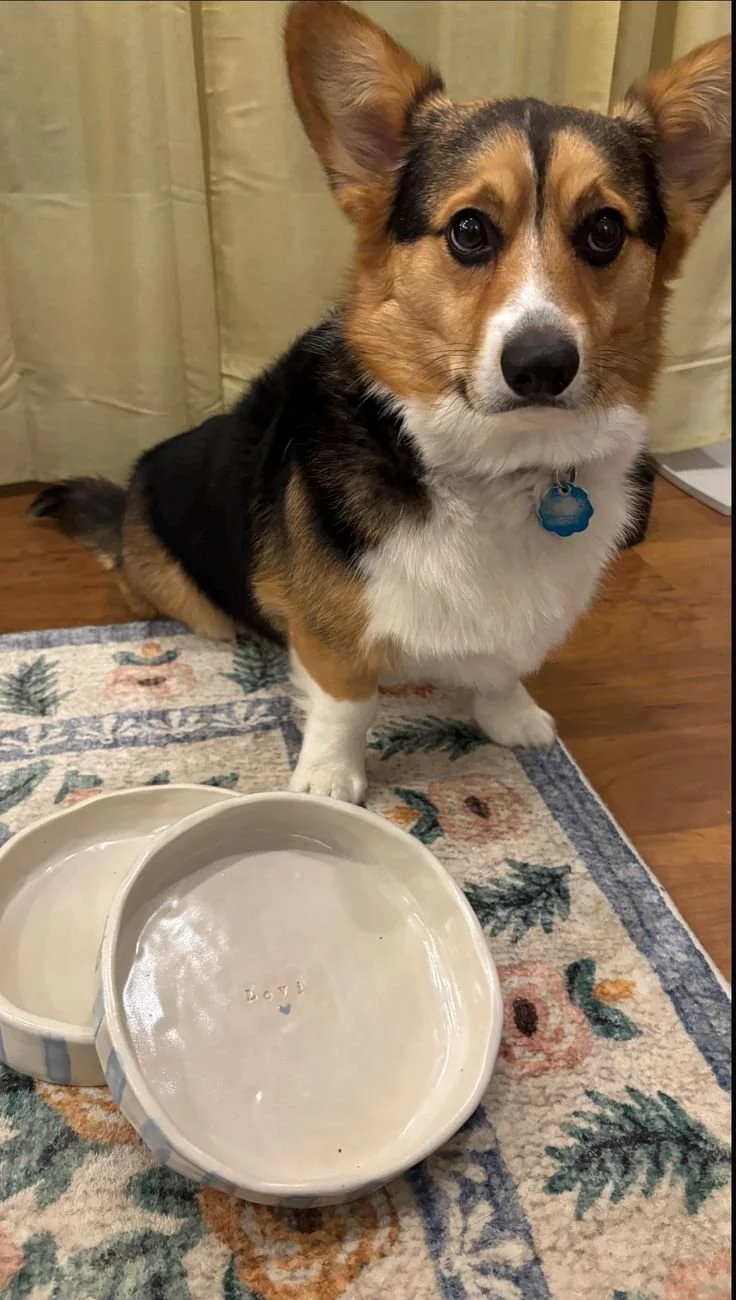 Ditsy Pottery | Handmade Artisanal, Intentional Ceramics-5.jpg