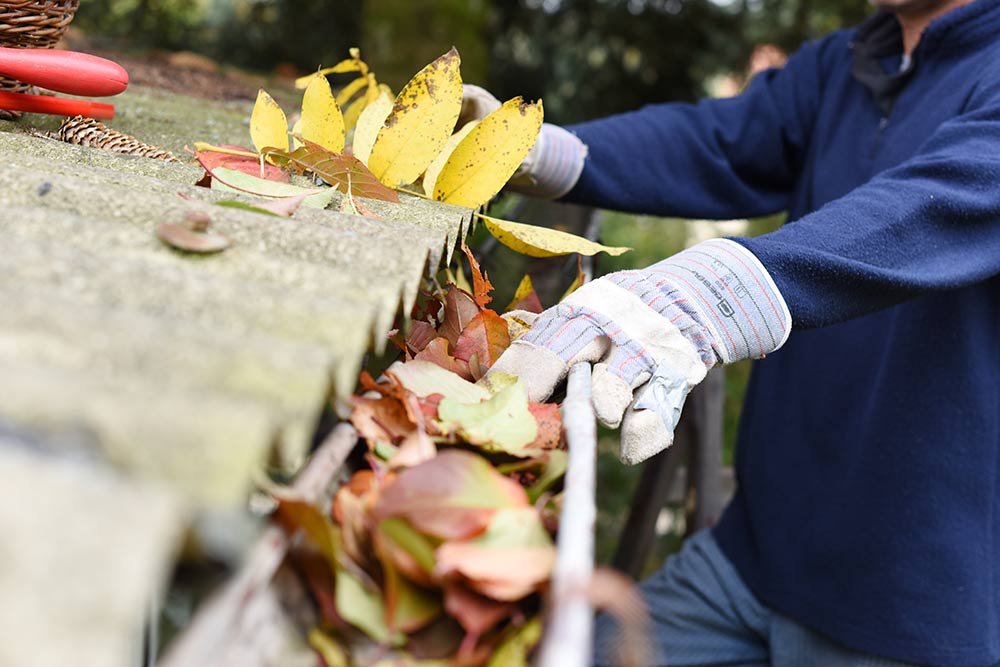 Person wearing gloves handling fallen autumn leaves on a work surface outdoors.