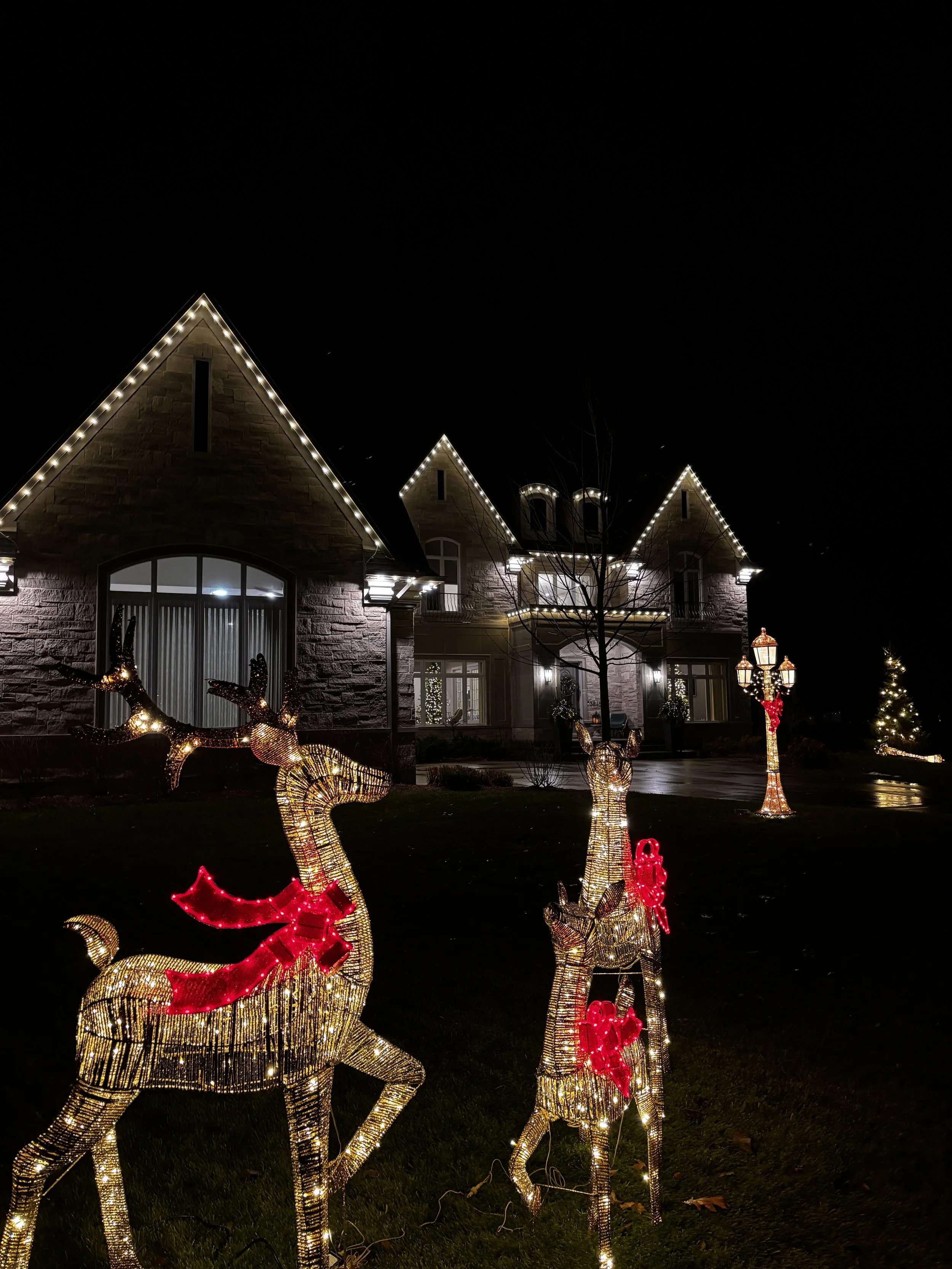 Illuminated reindeer decorations on a lawn in front of a house at night, with the house decorated with Christmas lights.