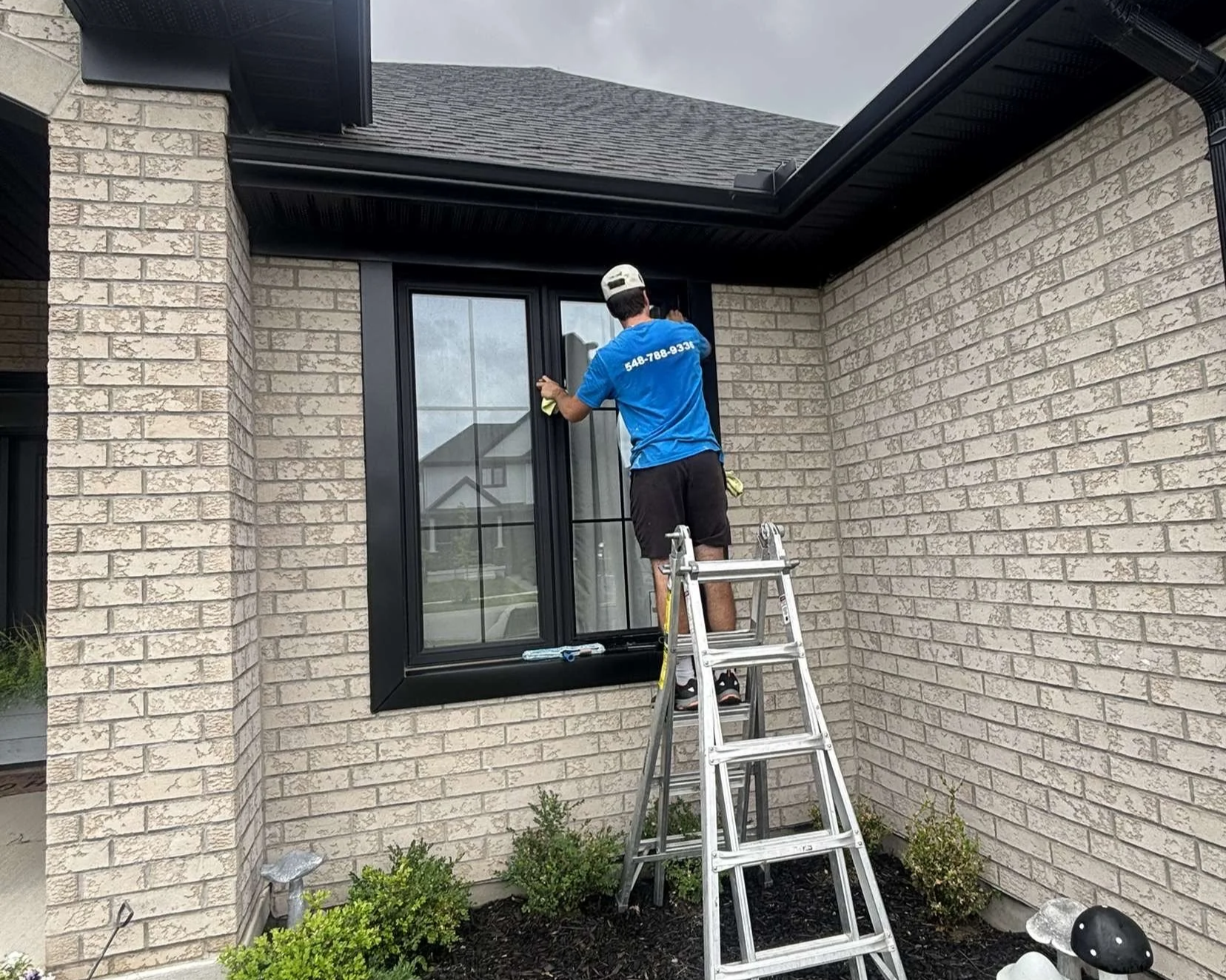 A man standing on a ladder cleaning the exterior window of a house with tan brick walls and a black frame, with small bushes and a gray pipe below.