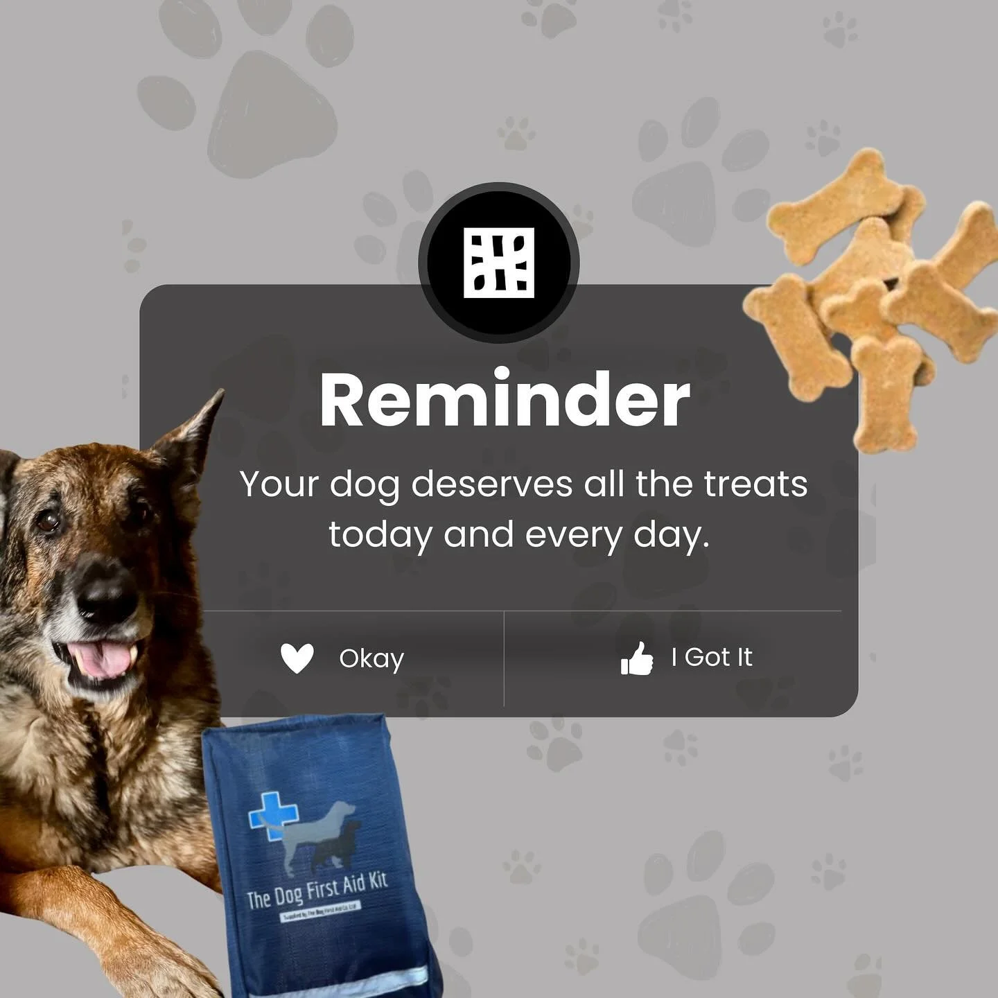 Make sure to give your dog a few extra treats today! 

We encourage you to also take a moment to ensure your dog&rsquo;s safety and well-being. Check to make sure the information on their tag is up to date as this is crucial in case they ever get los