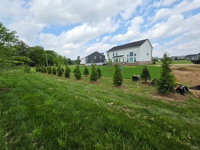 7480473963519169347 (2).JPG