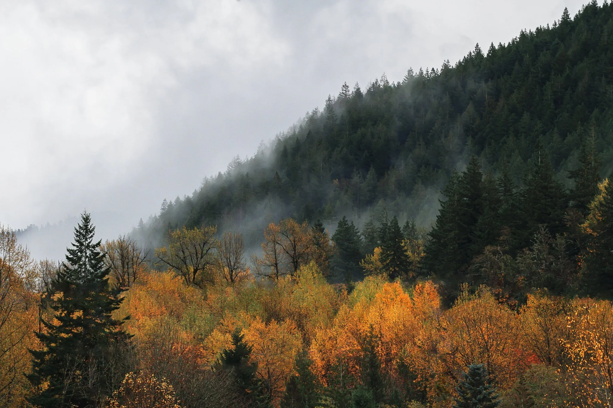 Why I Stopped Sharing Everything Online