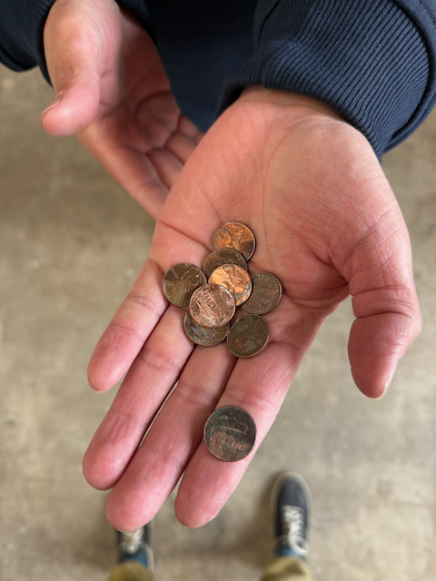 2026.02 SESO-Pennies.png