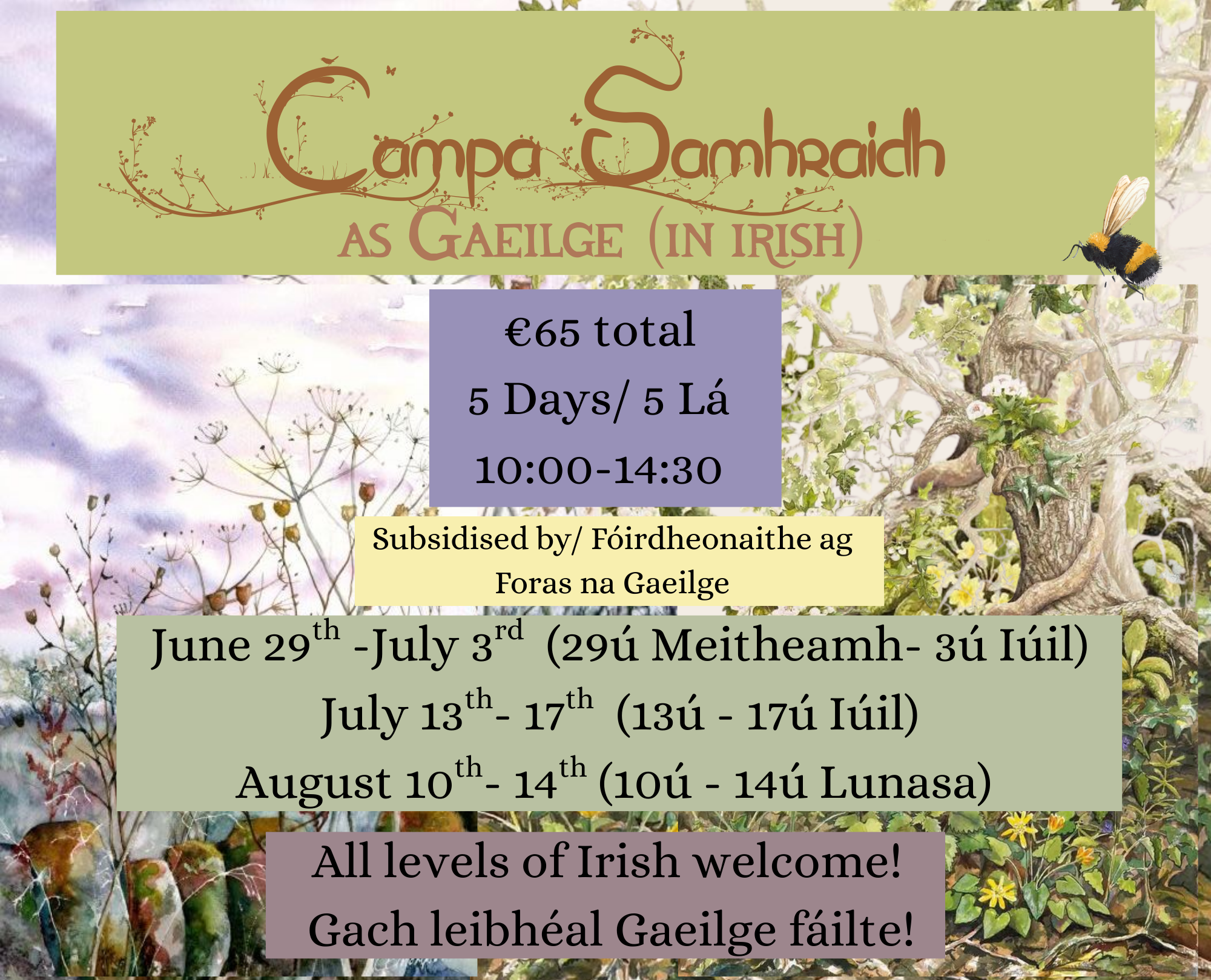 Campa Foraoise- Campa Samhraidh as Gaeilge