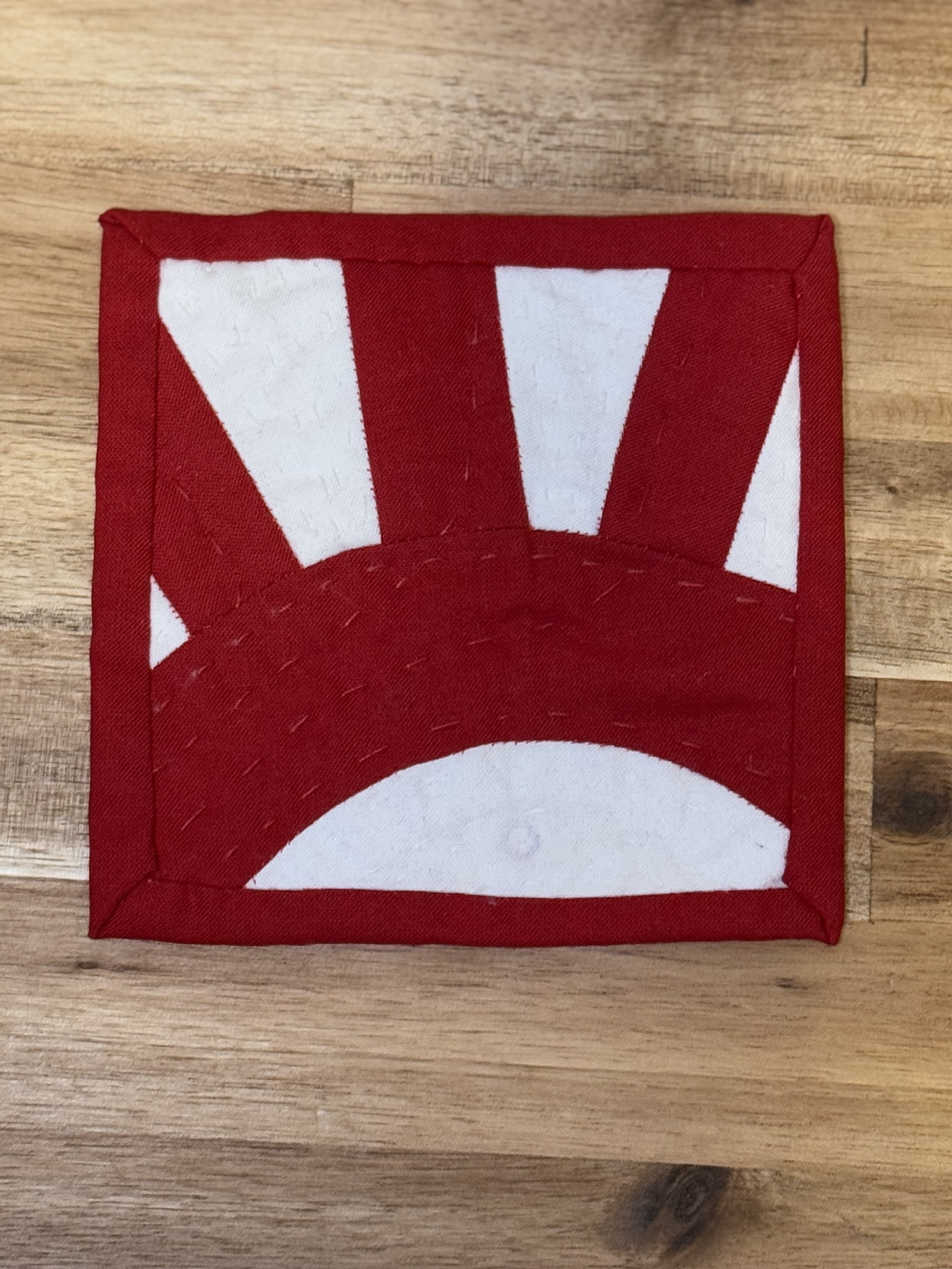 Intro to EPP Kit - Aorta Coaster