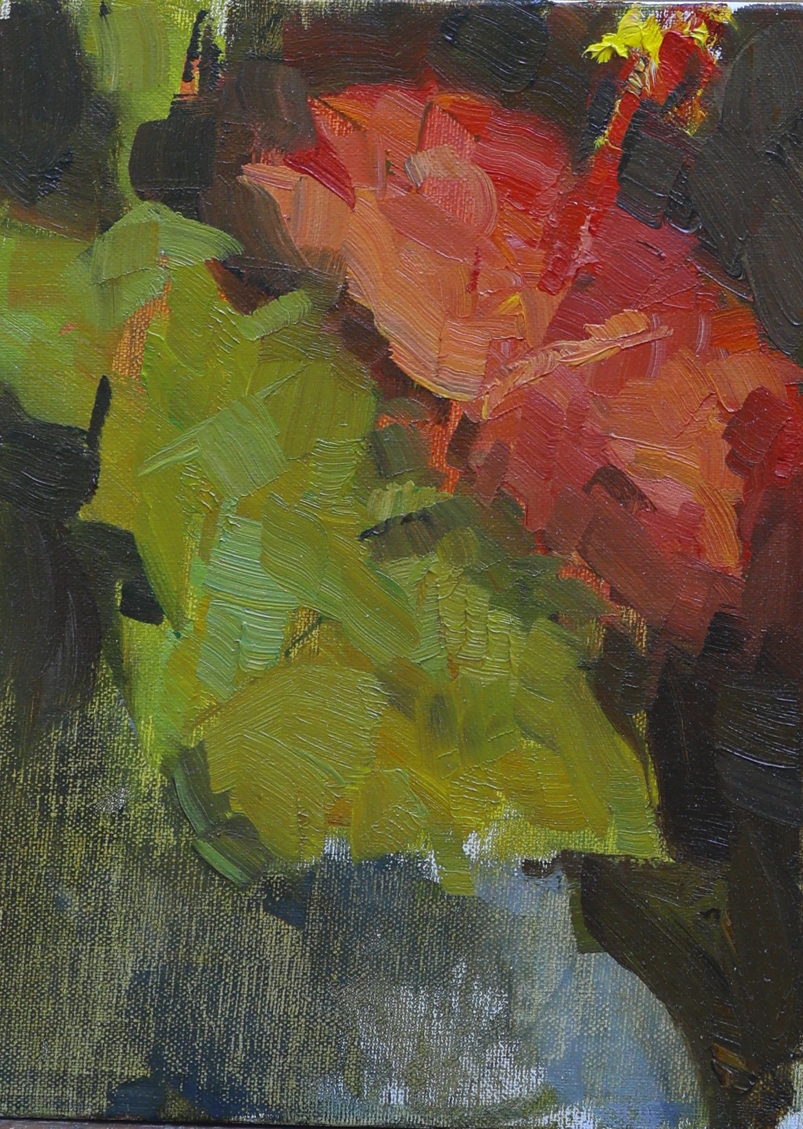 The Hibiscus - 6x8 Oil on Linen Panel