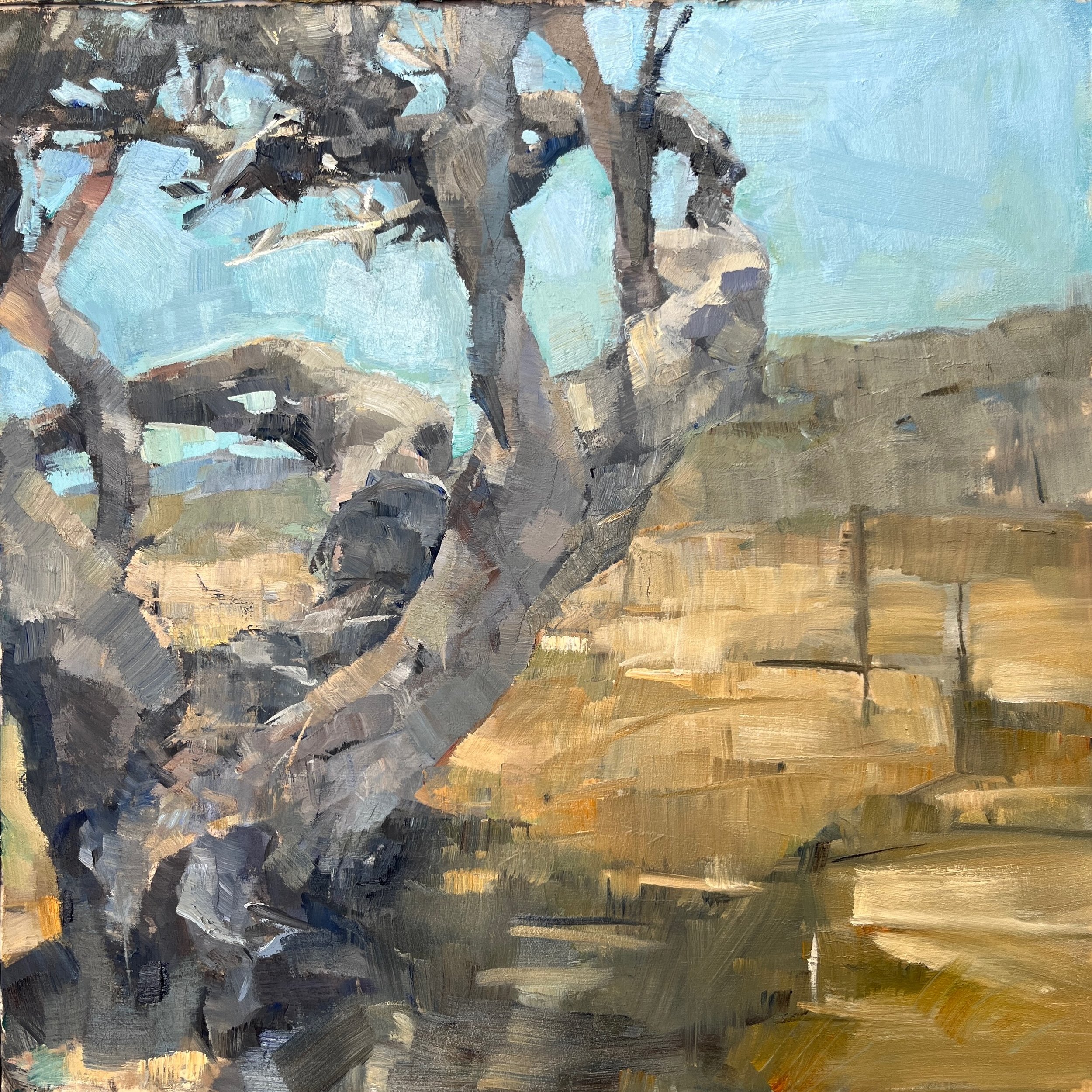 At Santa Rosa Island - 12x12 on Birch Panel