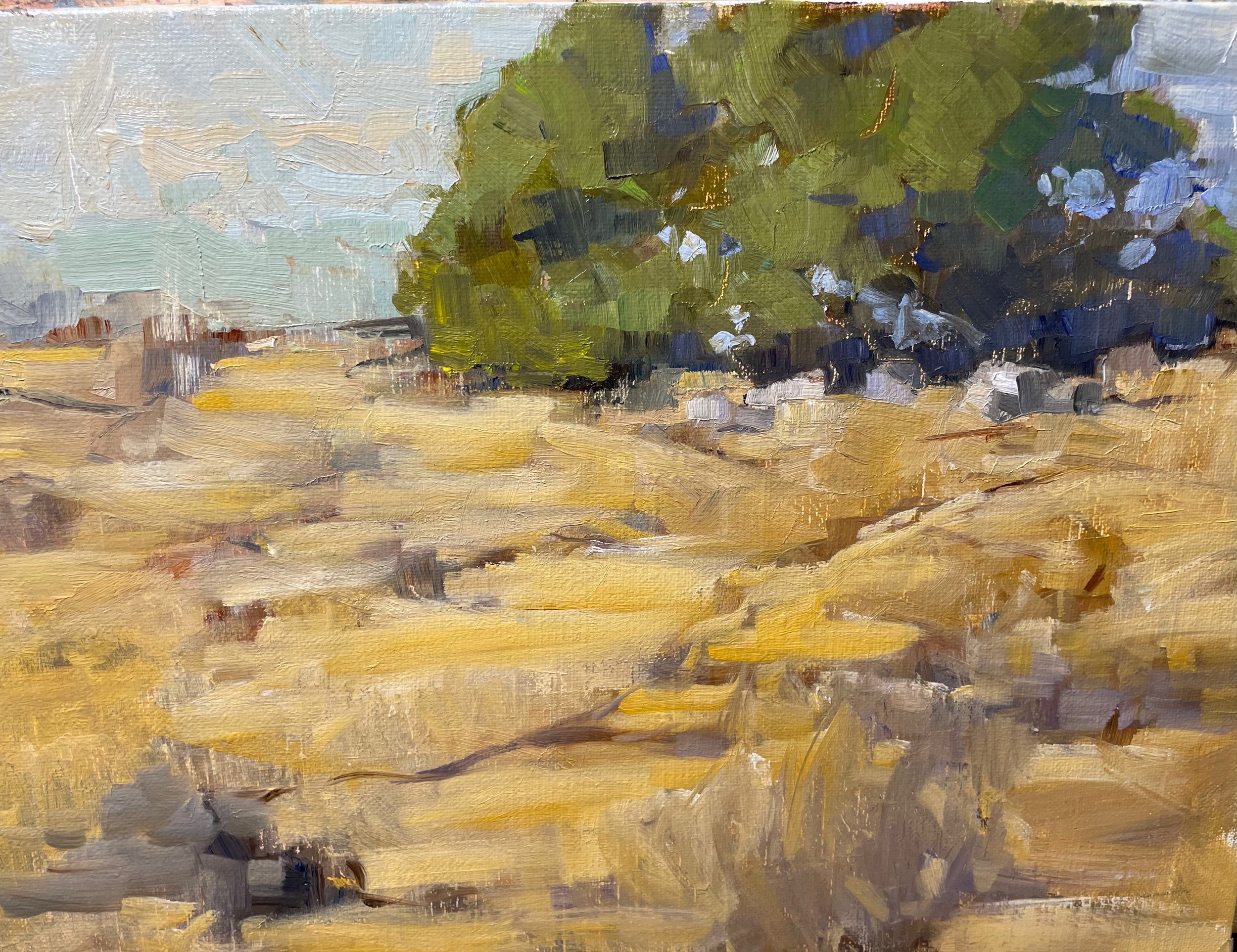 The Ancestor Tree - 8x10 Oil on Linen Panel