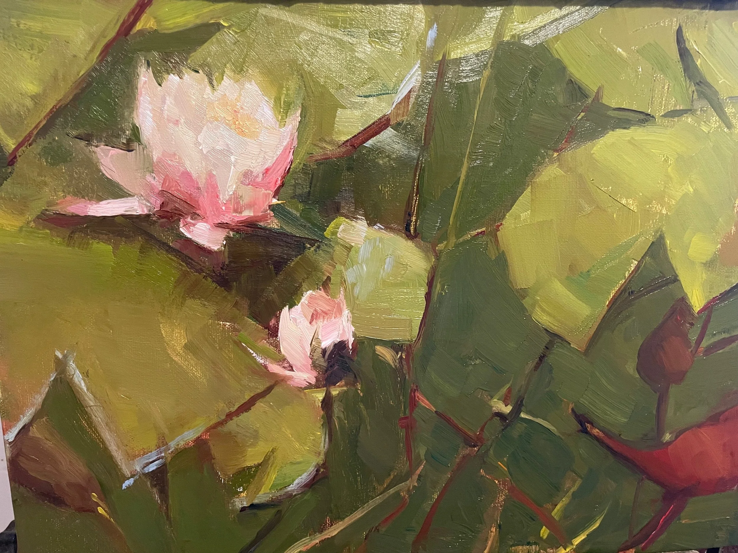 Water Lily
9x 12 on Belgian Linen Panel