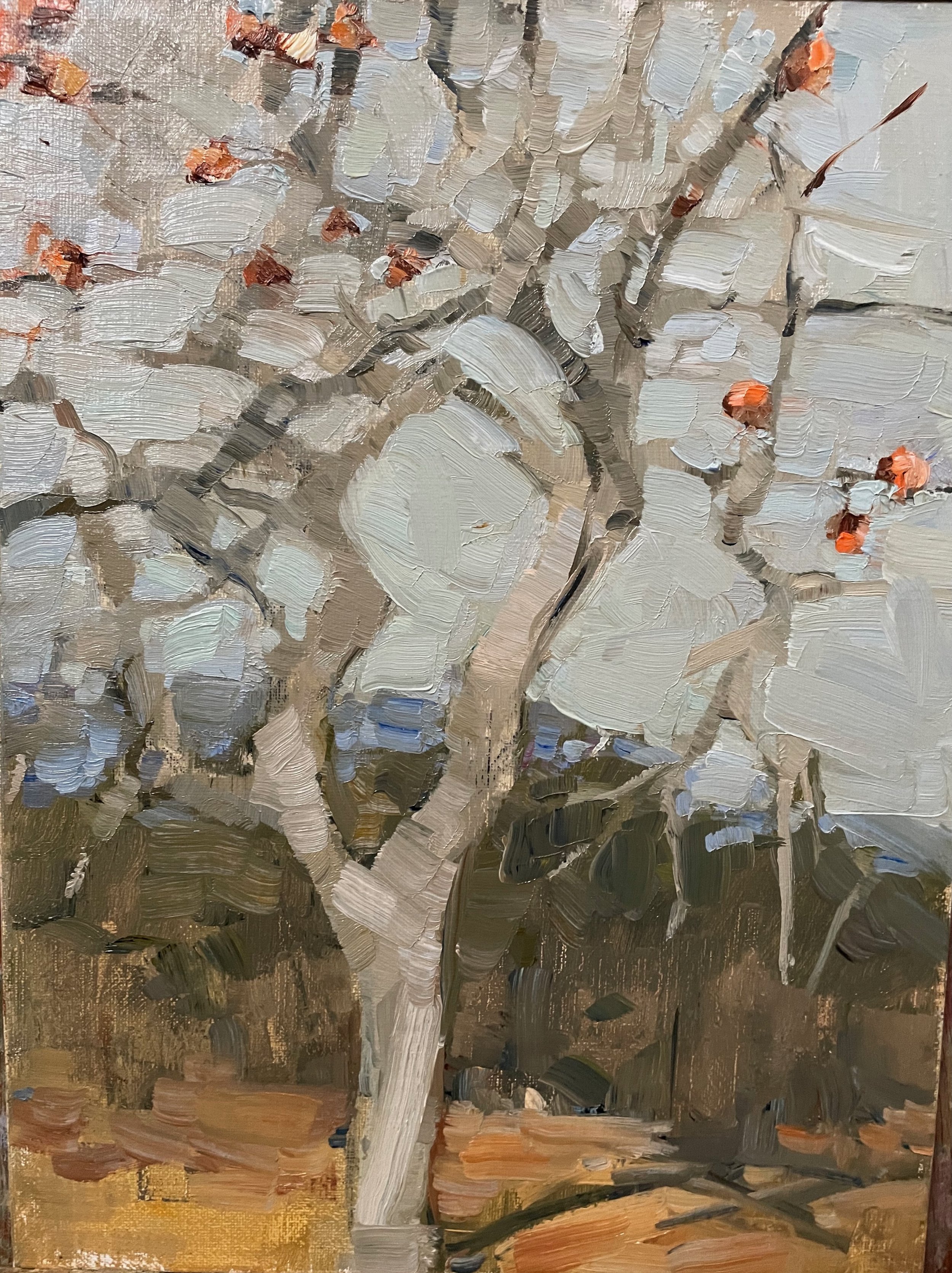 Boxing Day 9x12 Oil on Linen