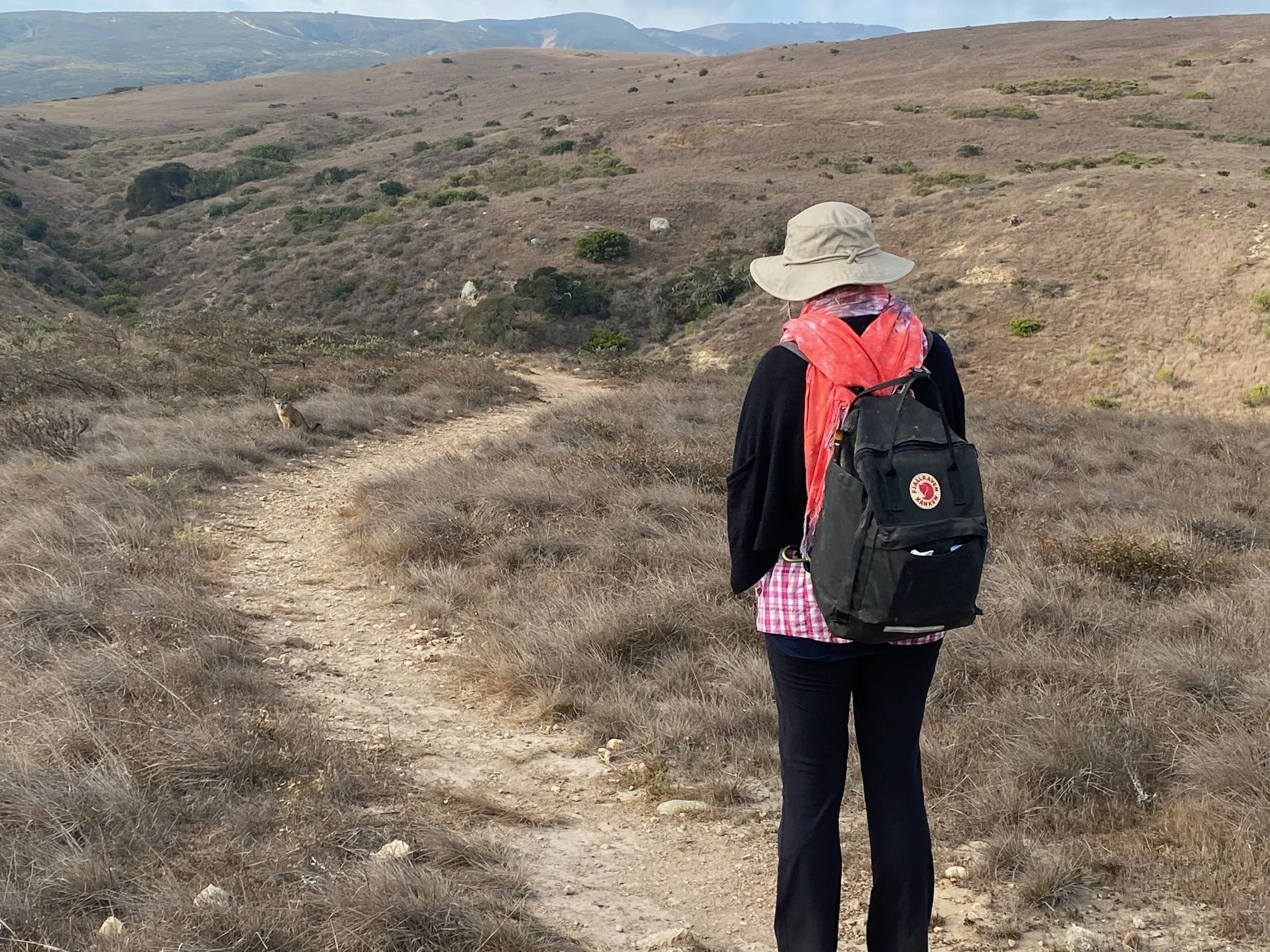Gathering images at Santa Rosa Island