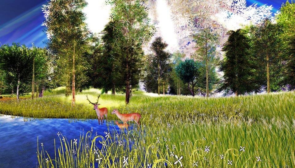 Deer.jpg