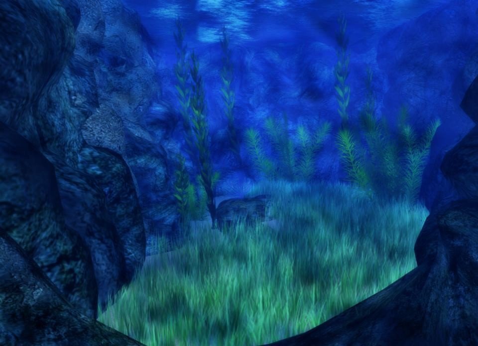 Underwater.jpg