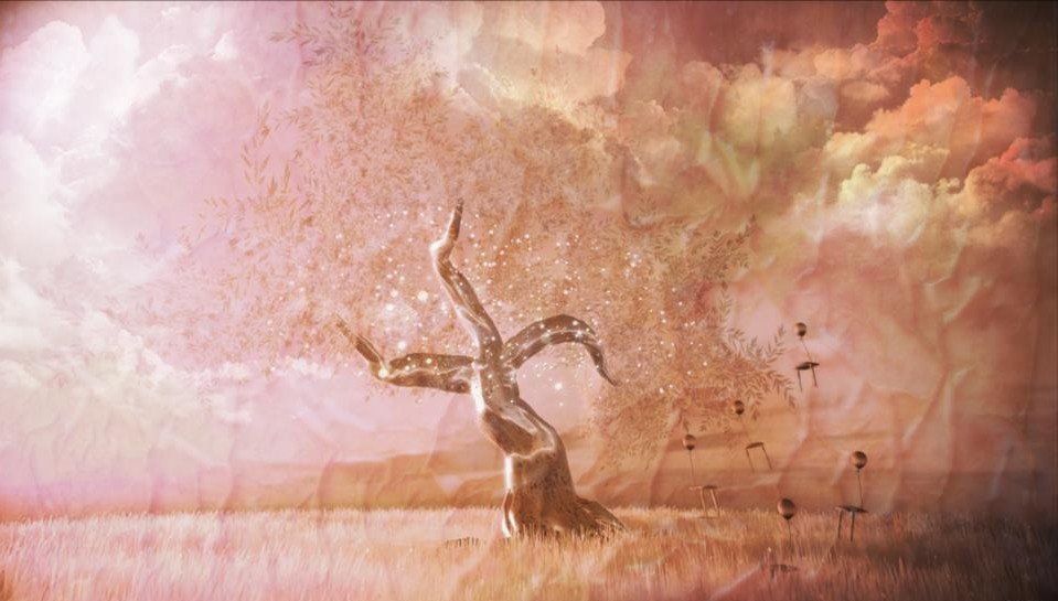 Tree.jpg