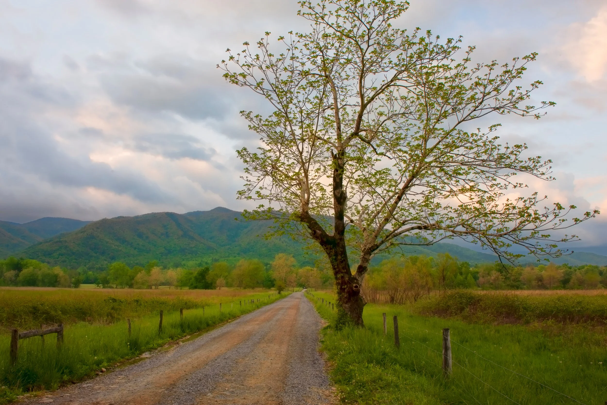 Townsend, TN